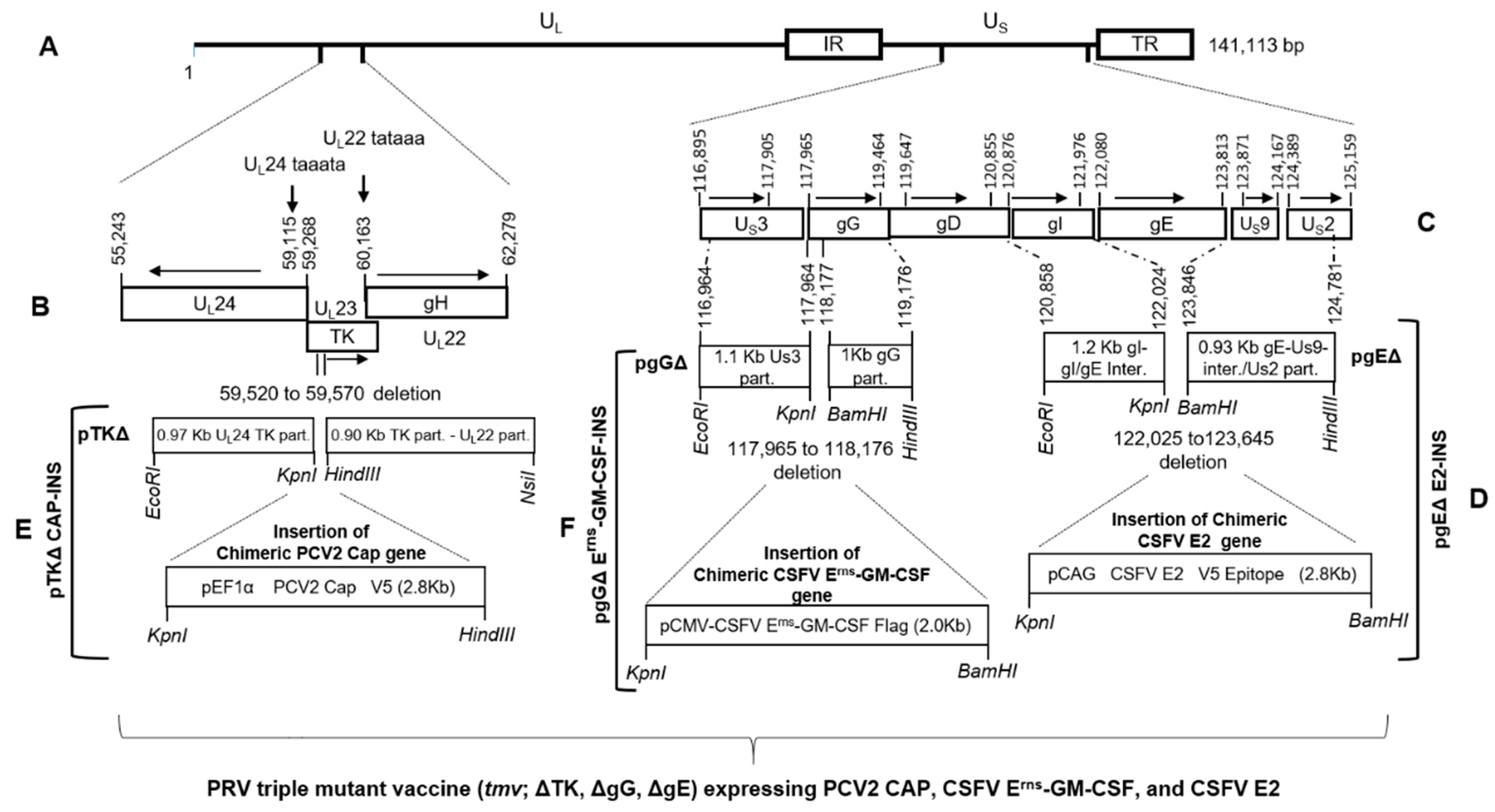 Vaccines 10 00305 g002 550
