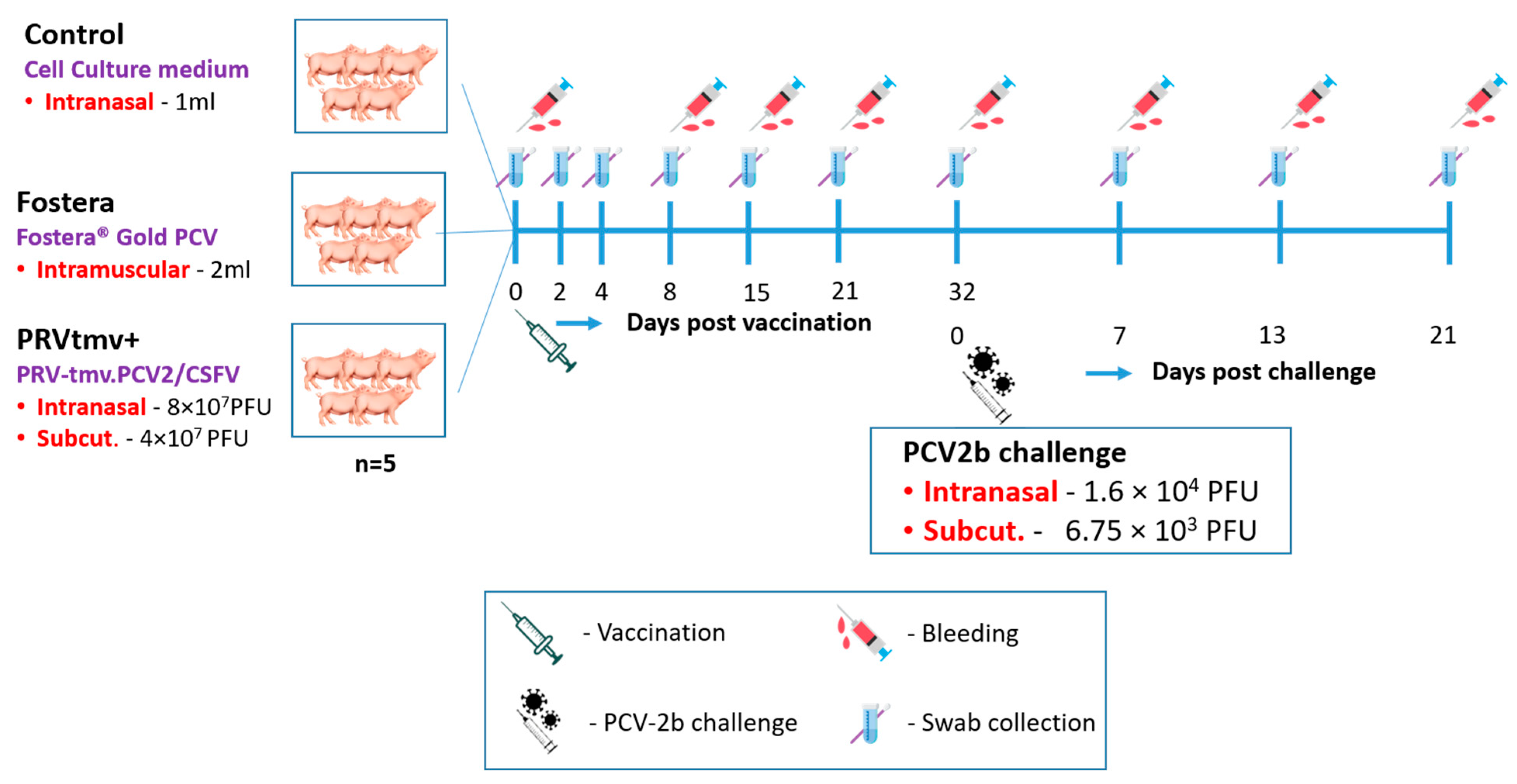 Vaccines 10 00305 g003 550