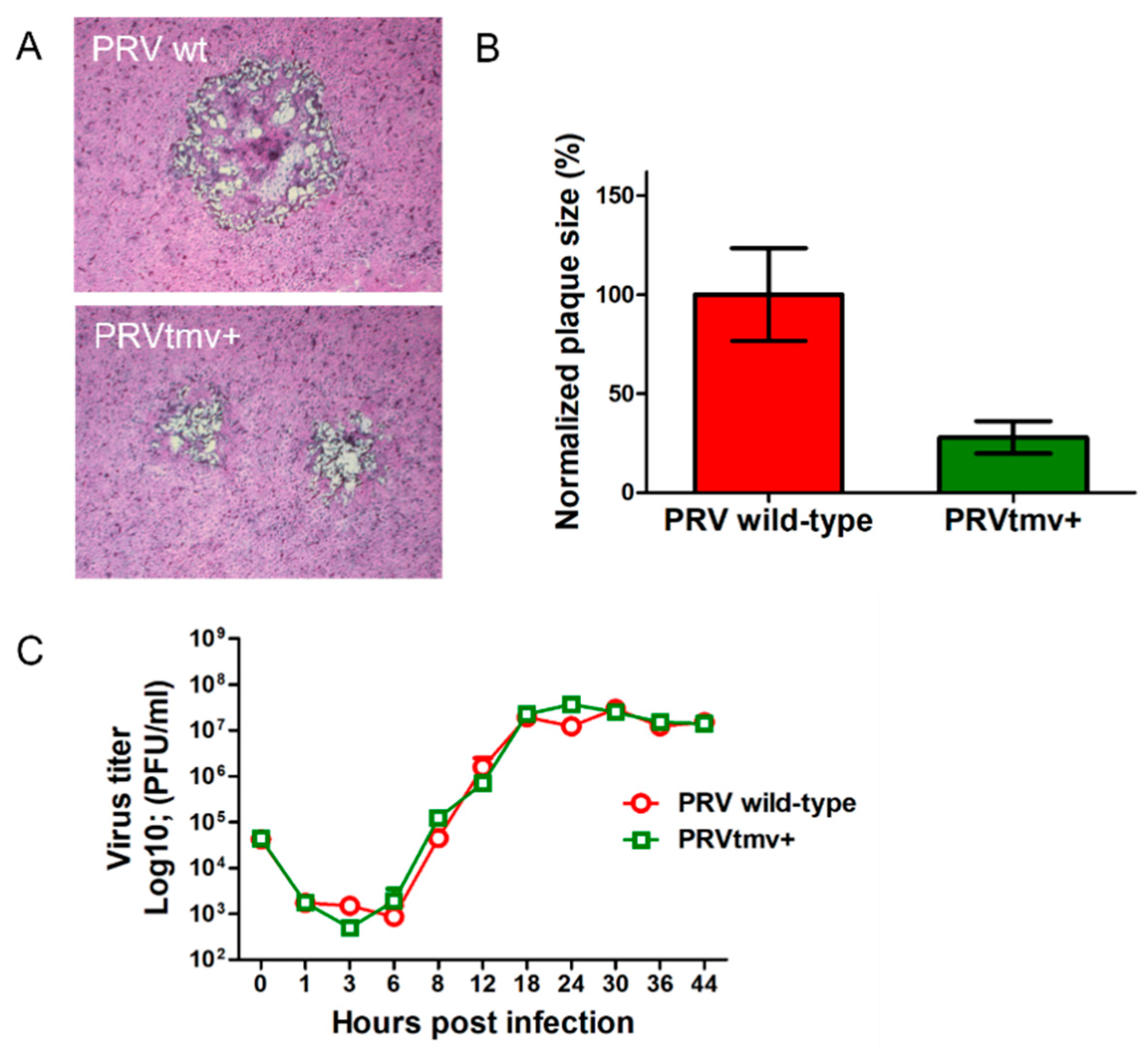 Vaccines 10 00305 g007 550