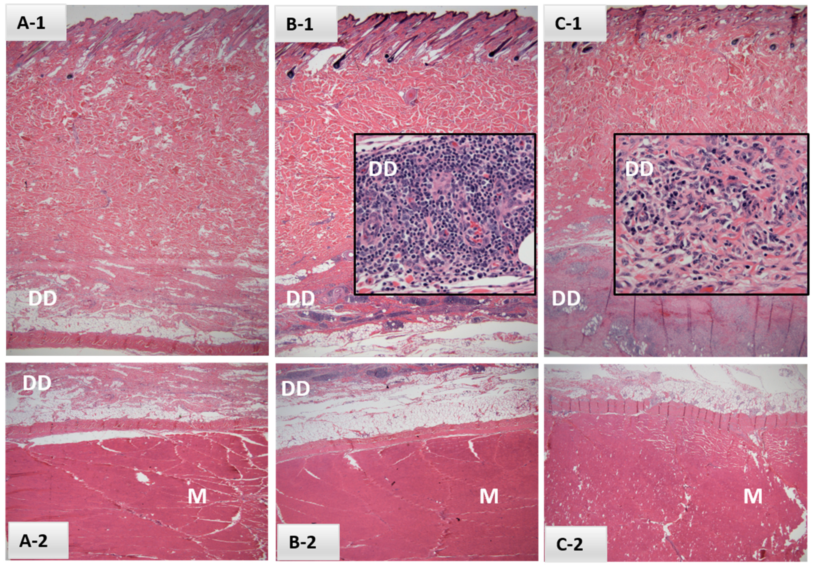 Vaccines 10 00335 g001