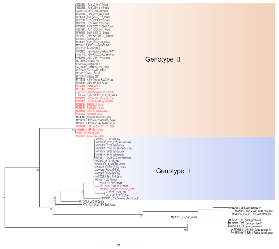 Vaccines 10 00344 g001