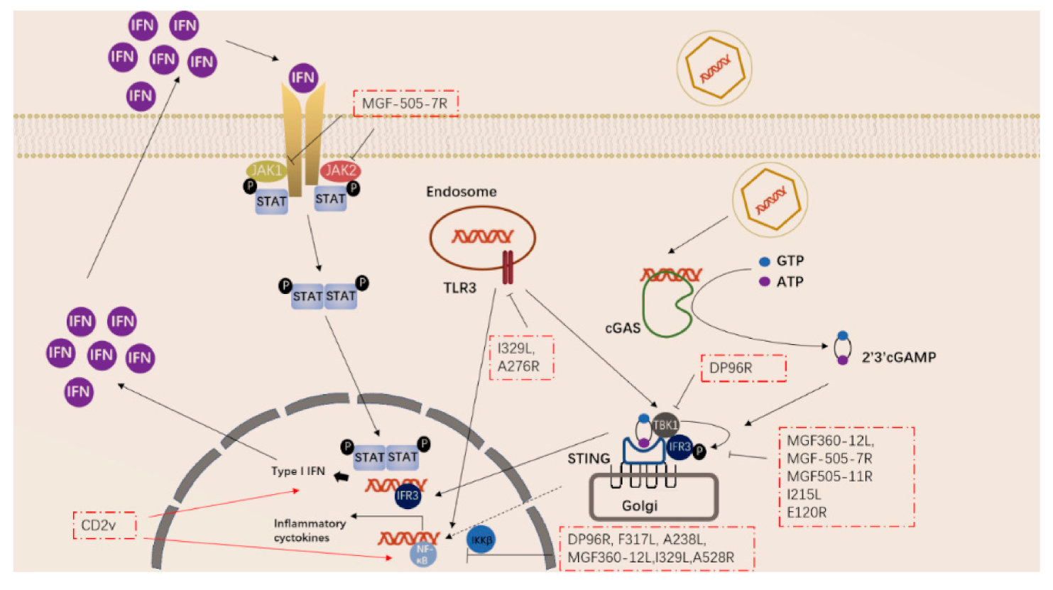 Vaccines 10 00344 g002
