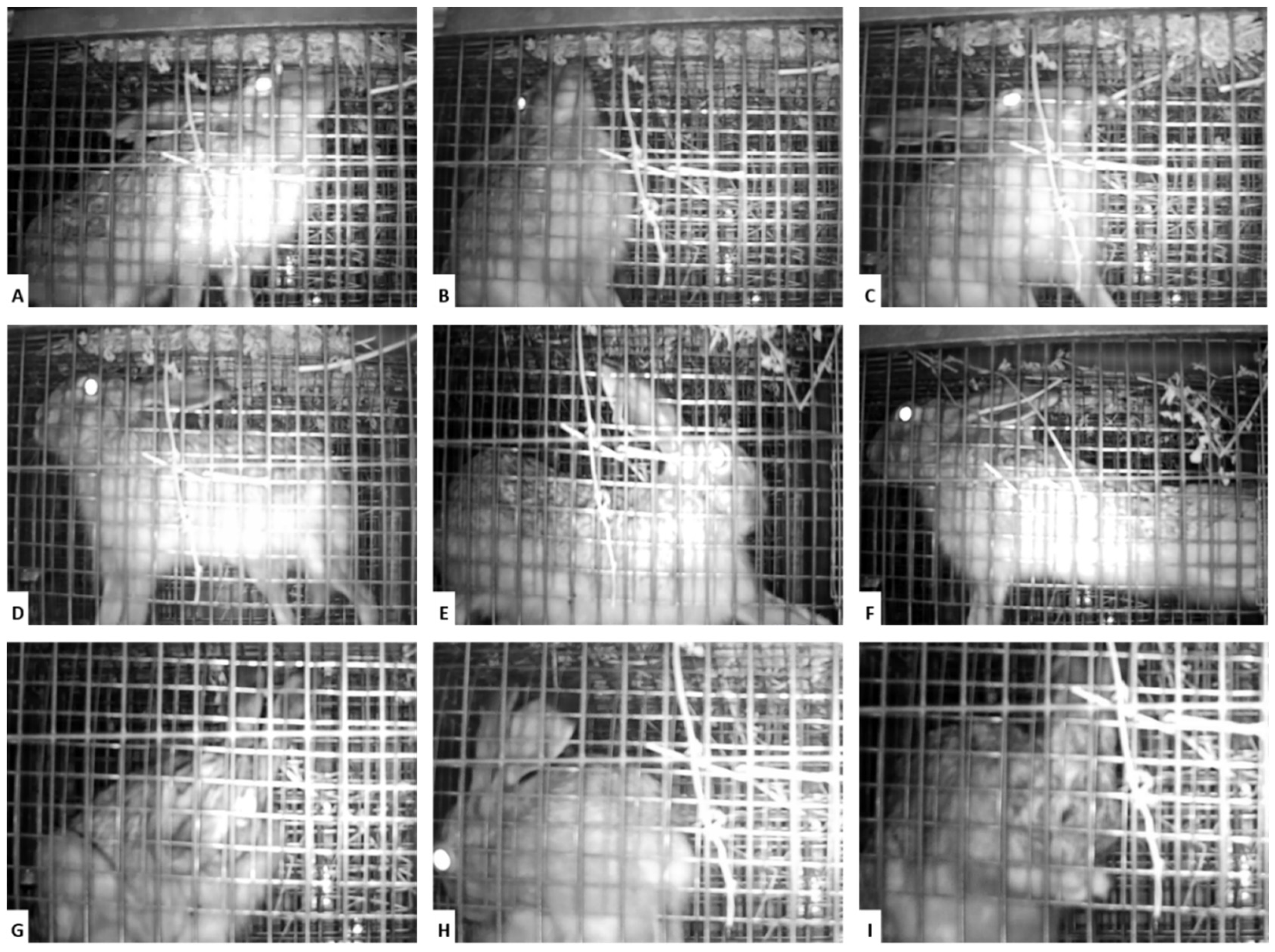 Vaccines 10 00356 g002 550