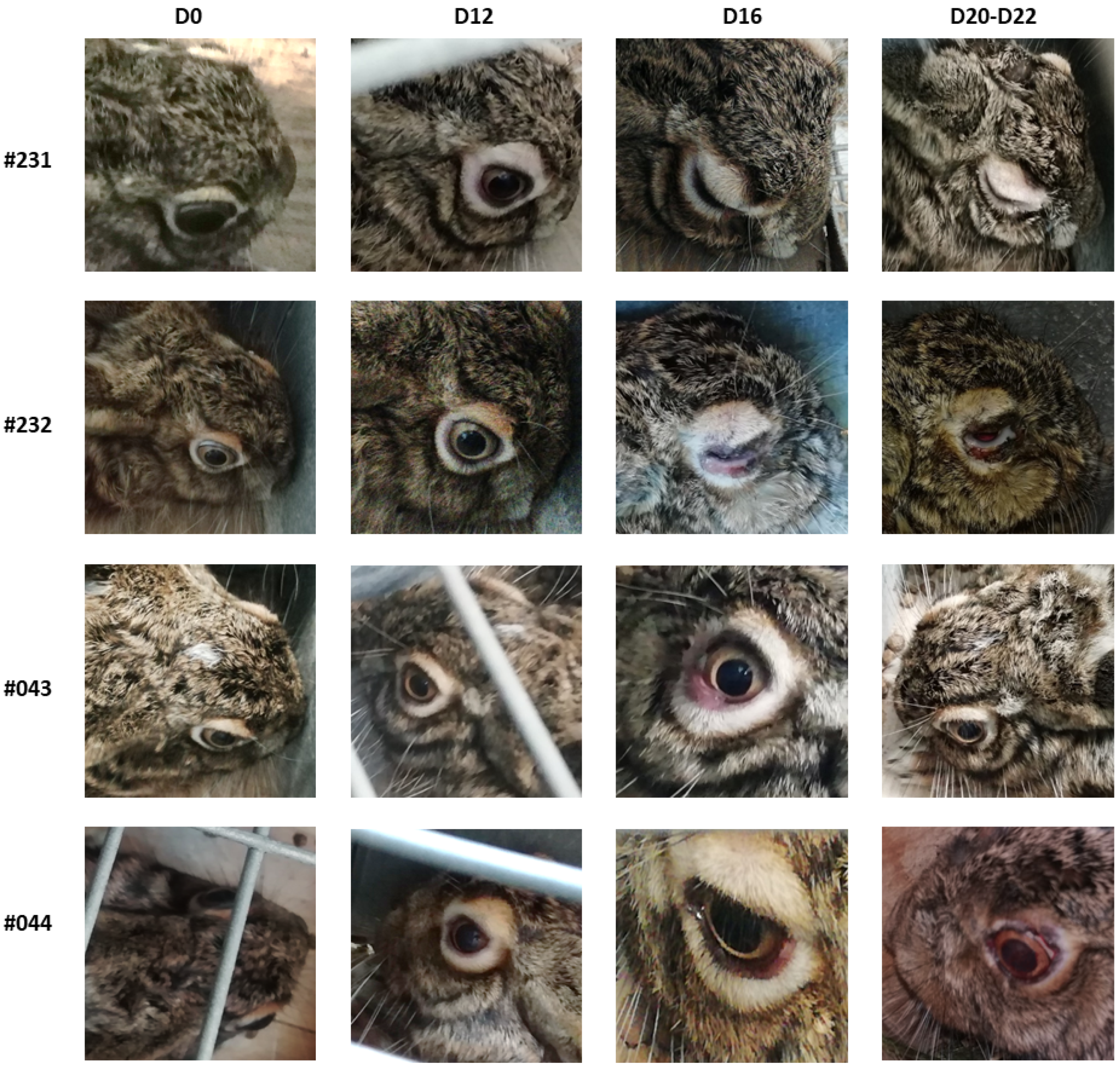 Vaccines 10 00356 g003 550