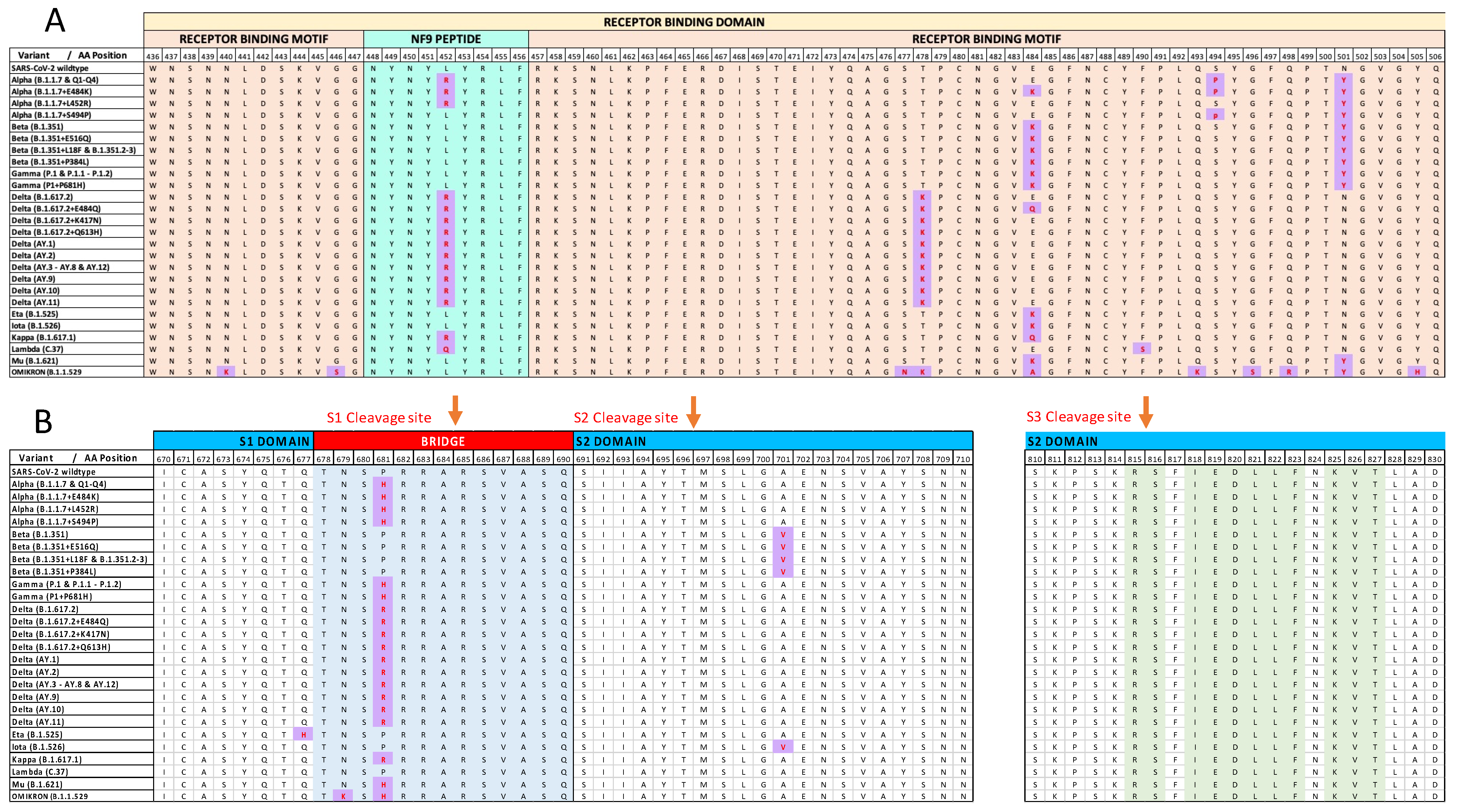 Vaccines 10 00357 g001 550
