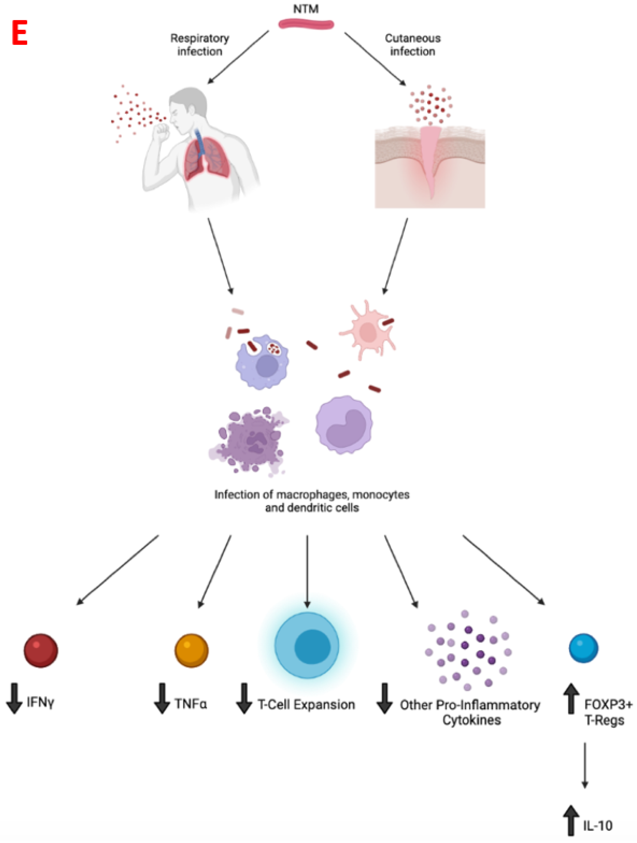 Vaccines 10 00390 g001b Vaccines 10 00390 g001b