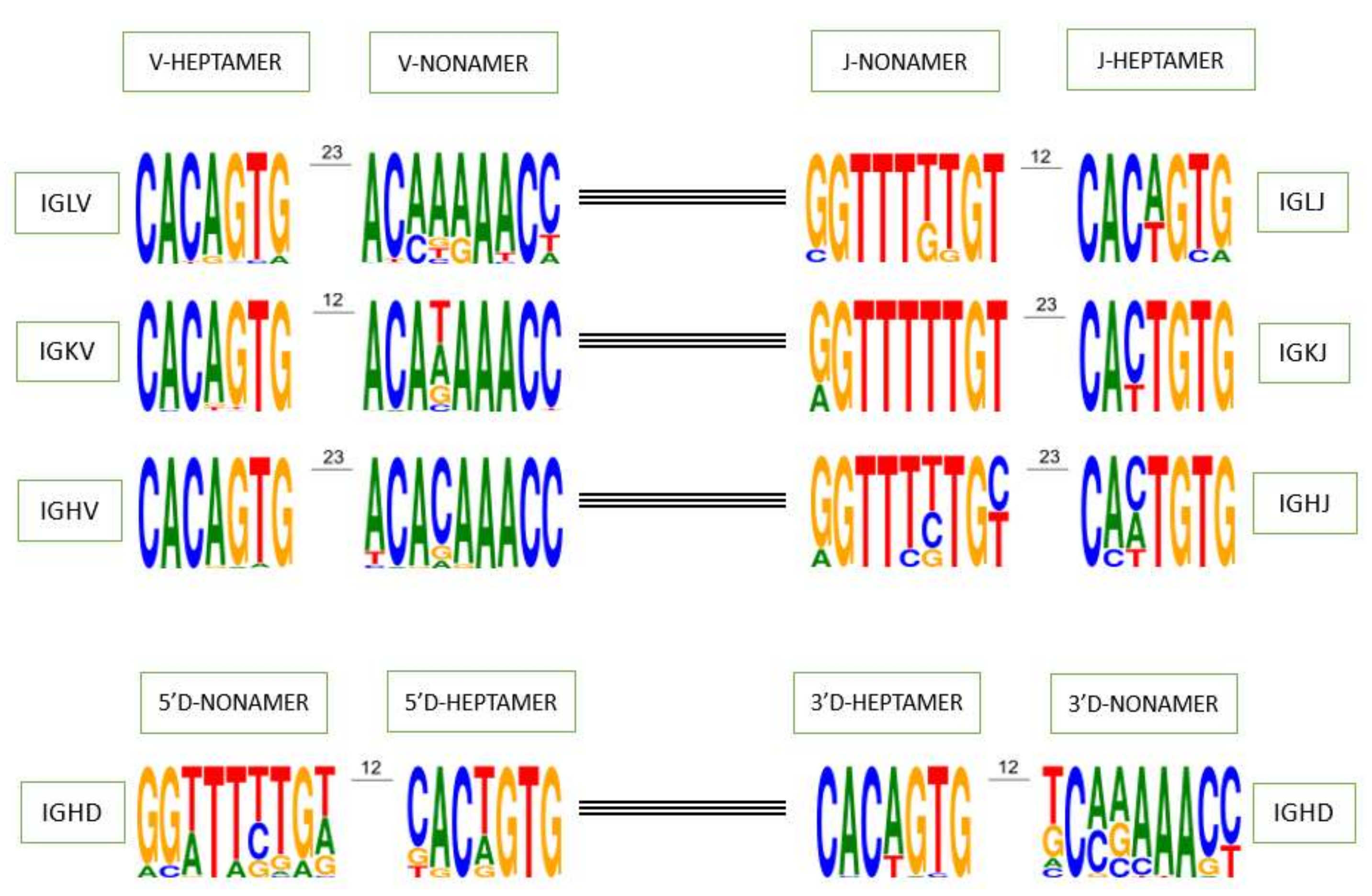 Vaccines 10 00394 g003