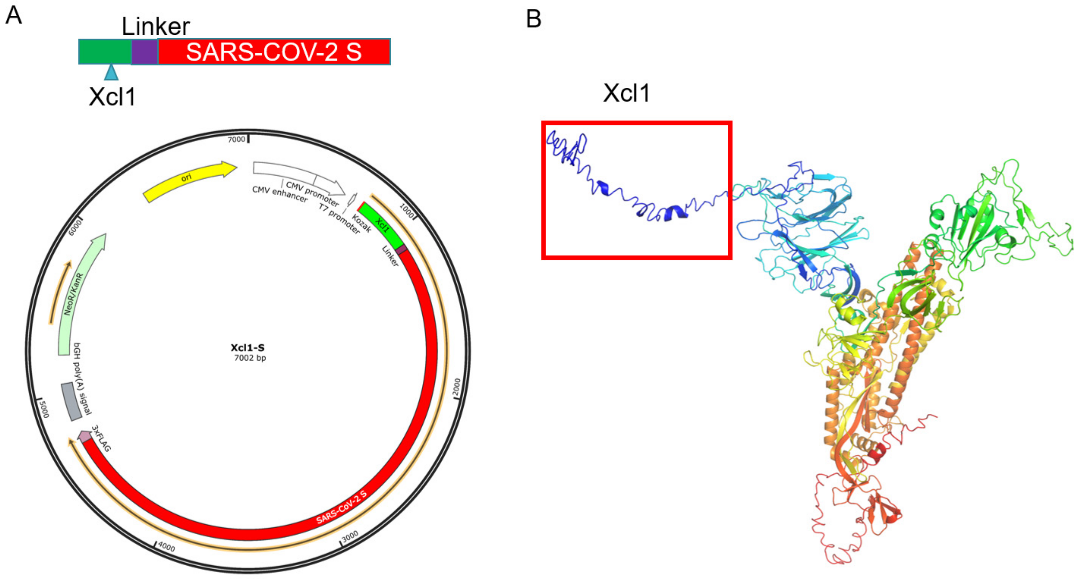 Vaccines 10 00407 g001
