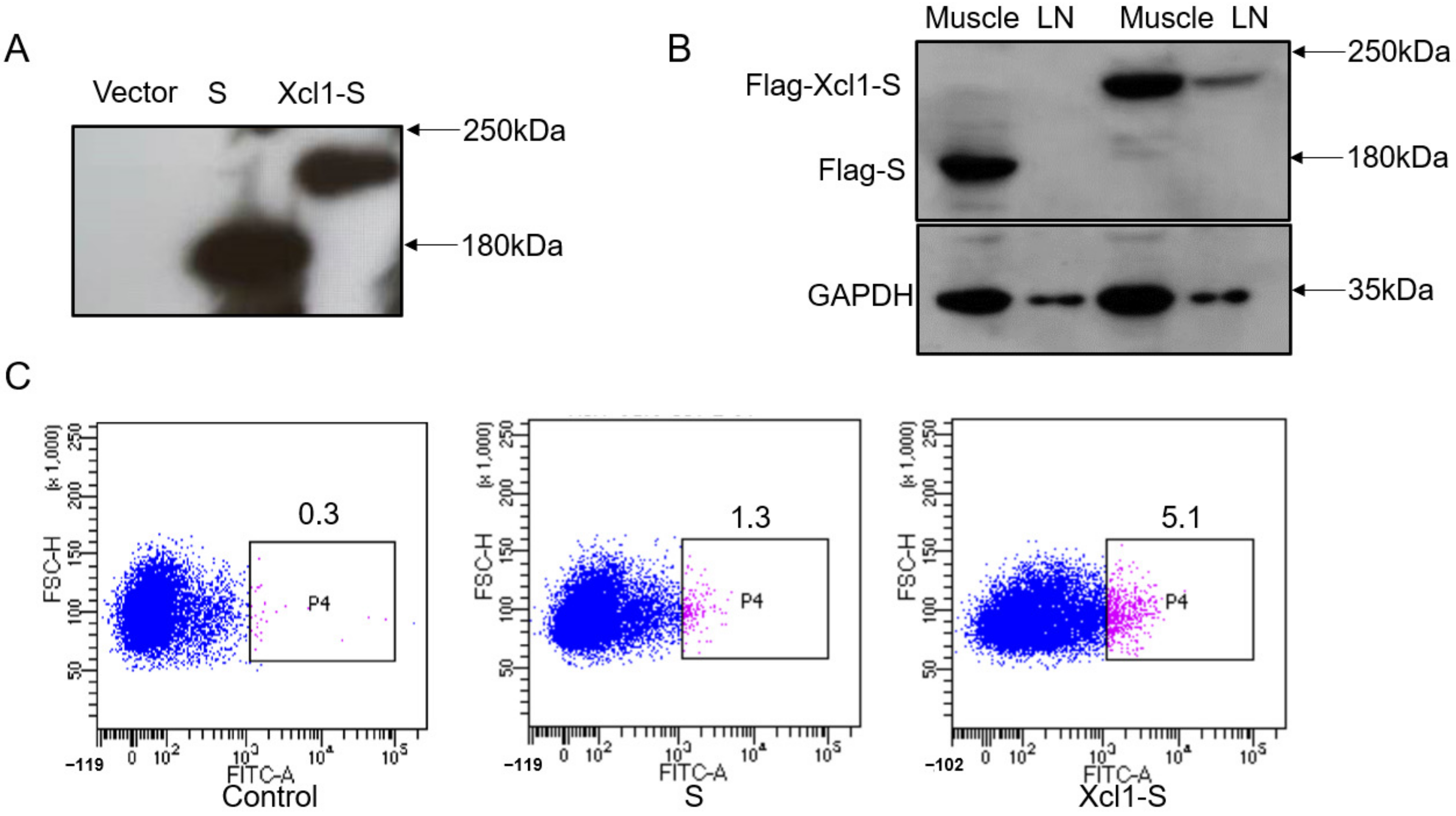 Vaccines 10 00407 g002