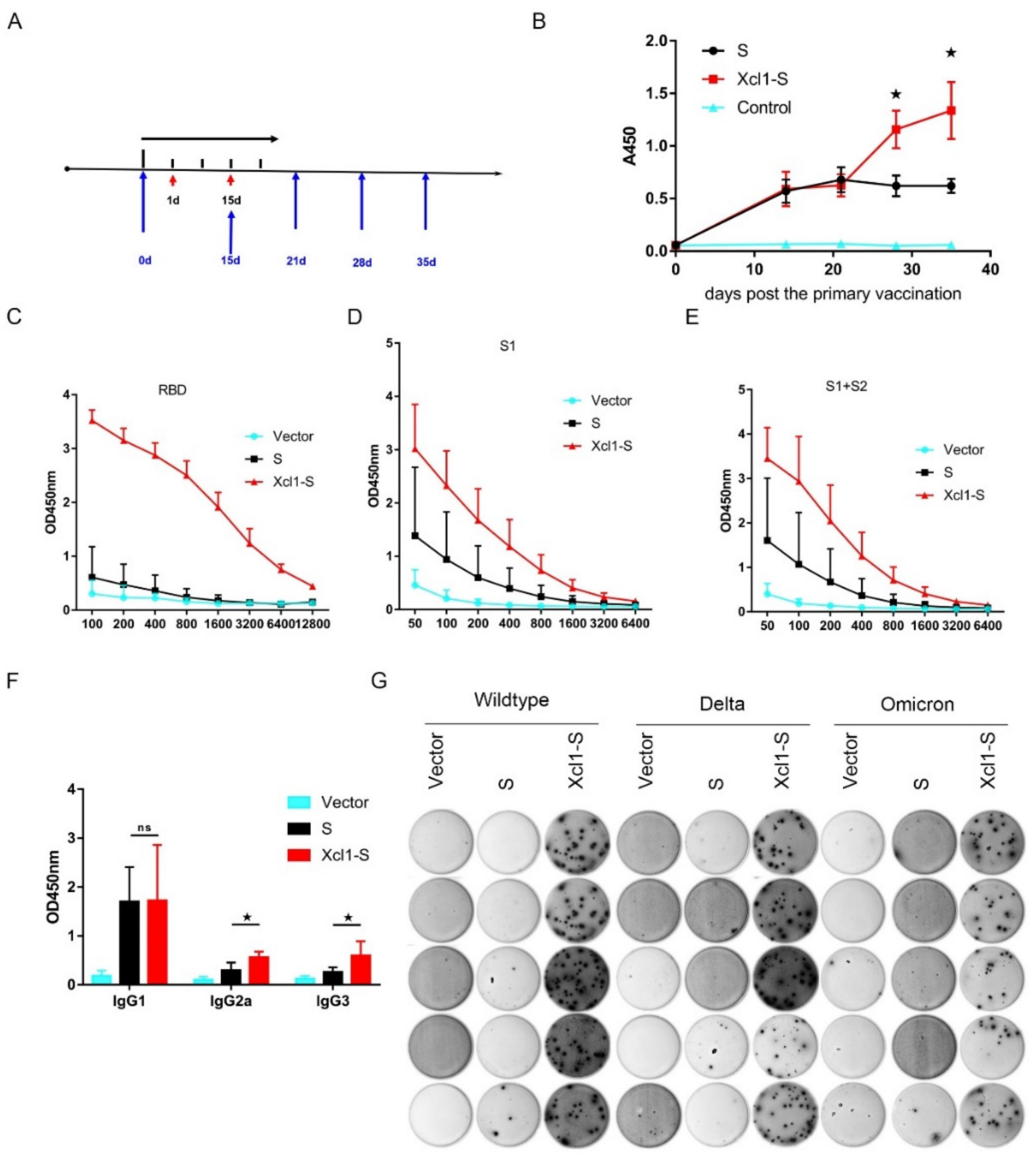 Vaccines 10 00407 g003