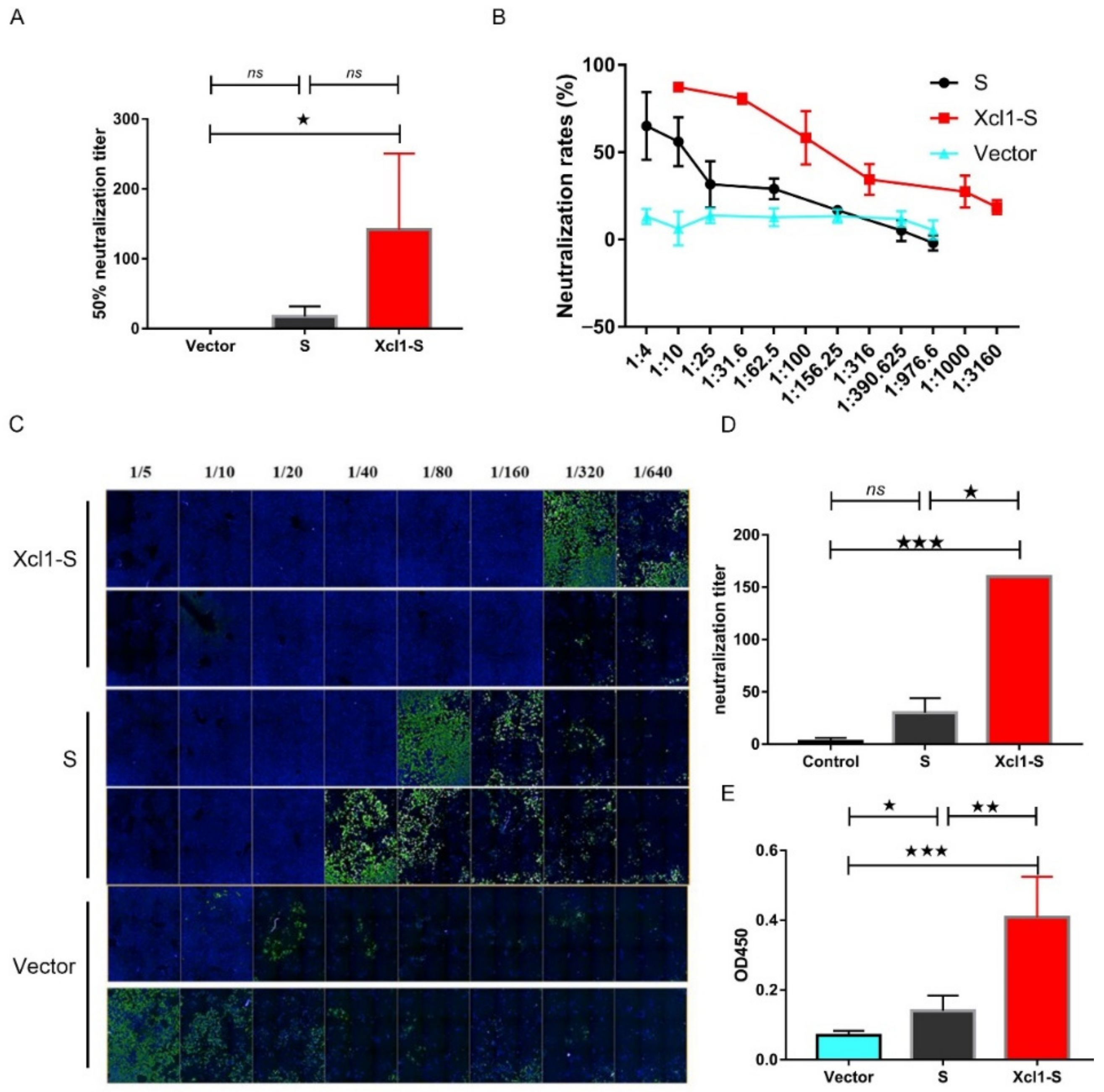 Vaccines 10 00407 g004