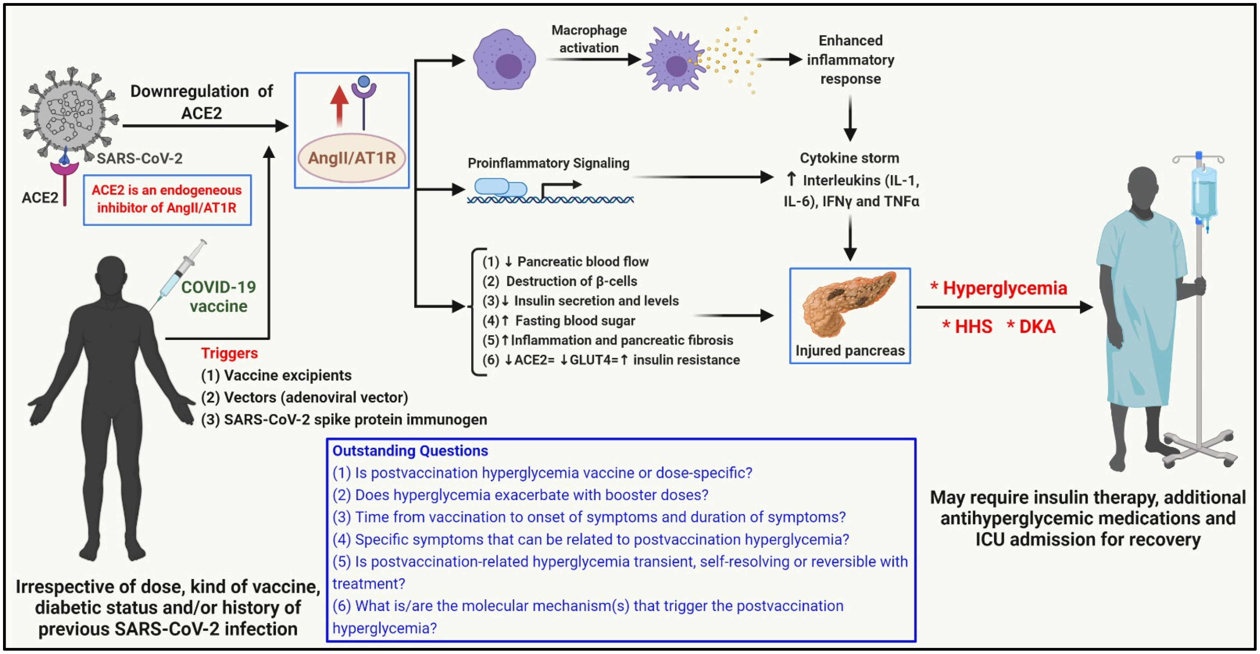 Vaccines 10 00454 g001 550