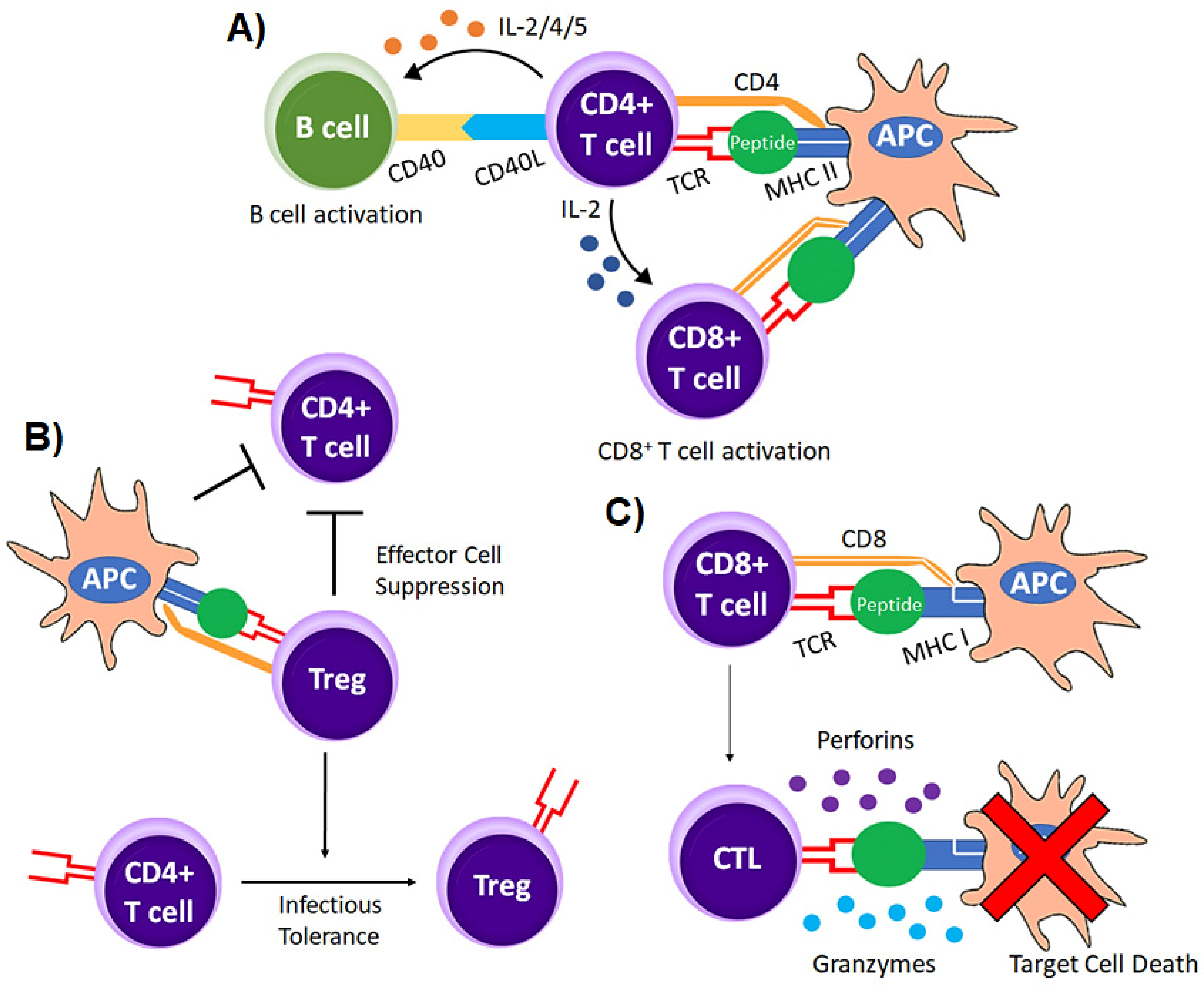 Vaccines 10 00457 g003 Vaccines 10 00457 g003
