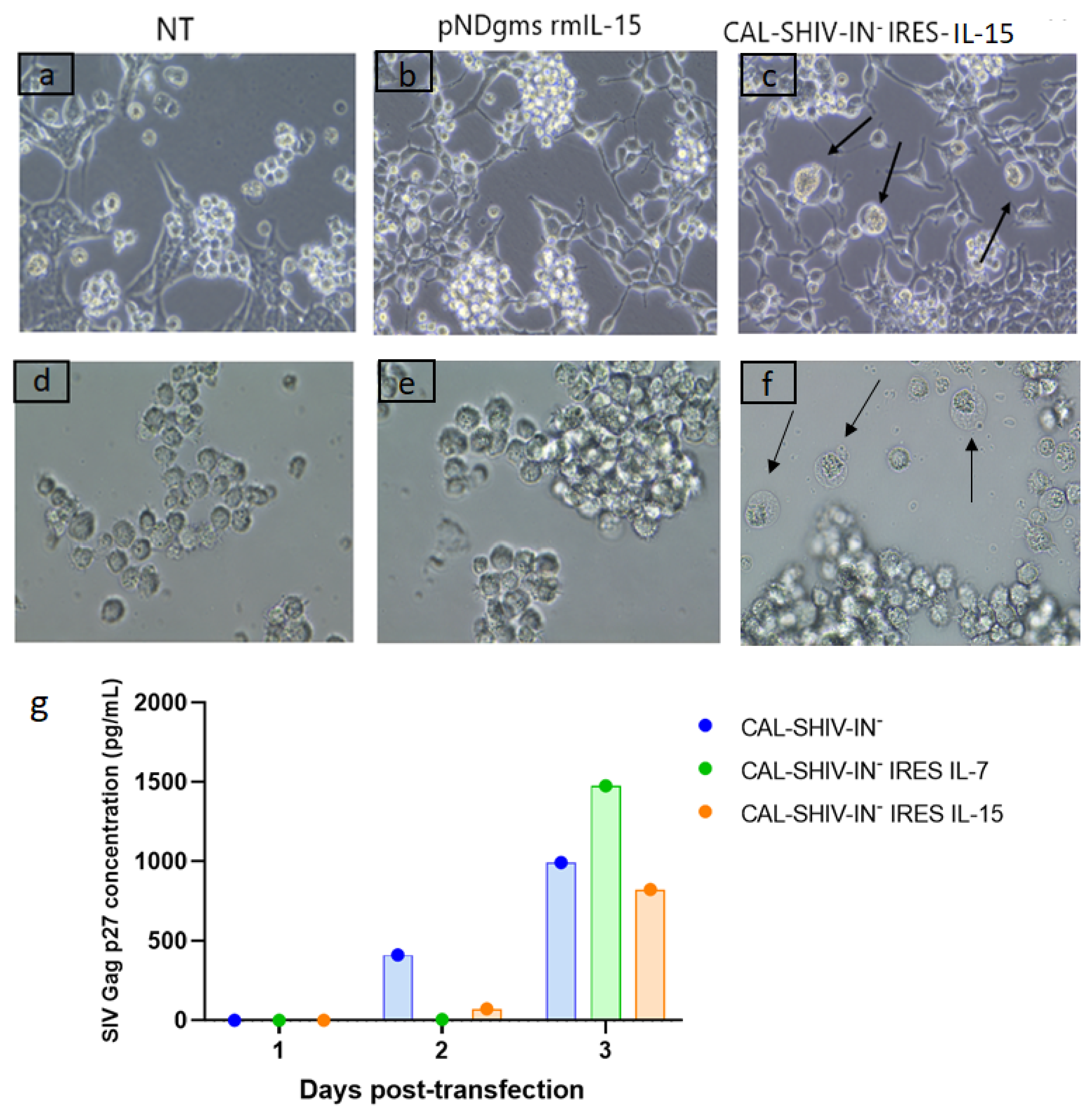 Vaccines 10 00461 g001