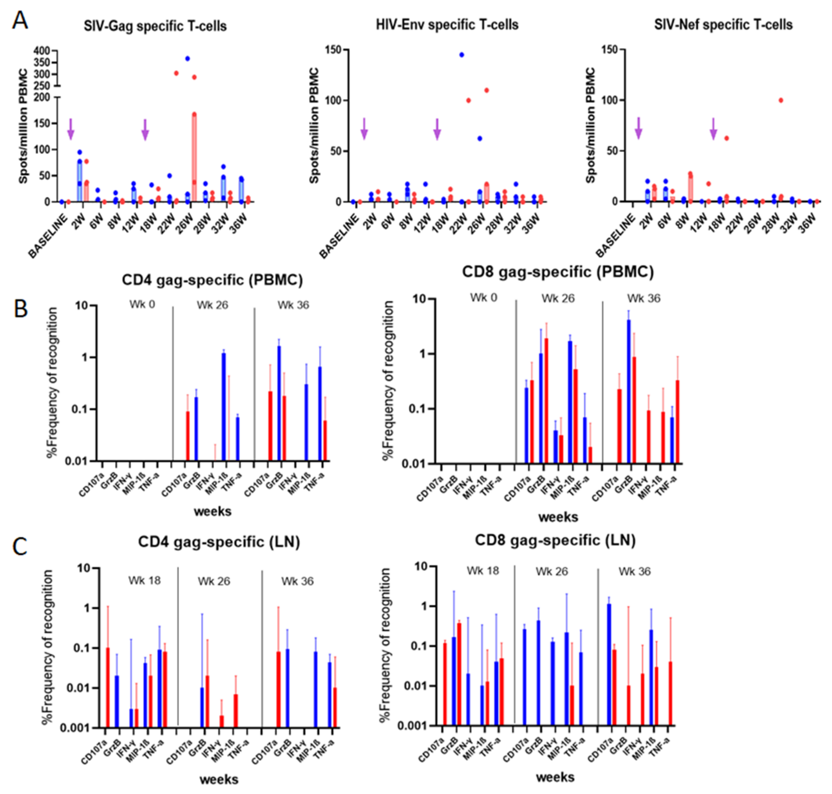 Vaccines 10 00461 g004