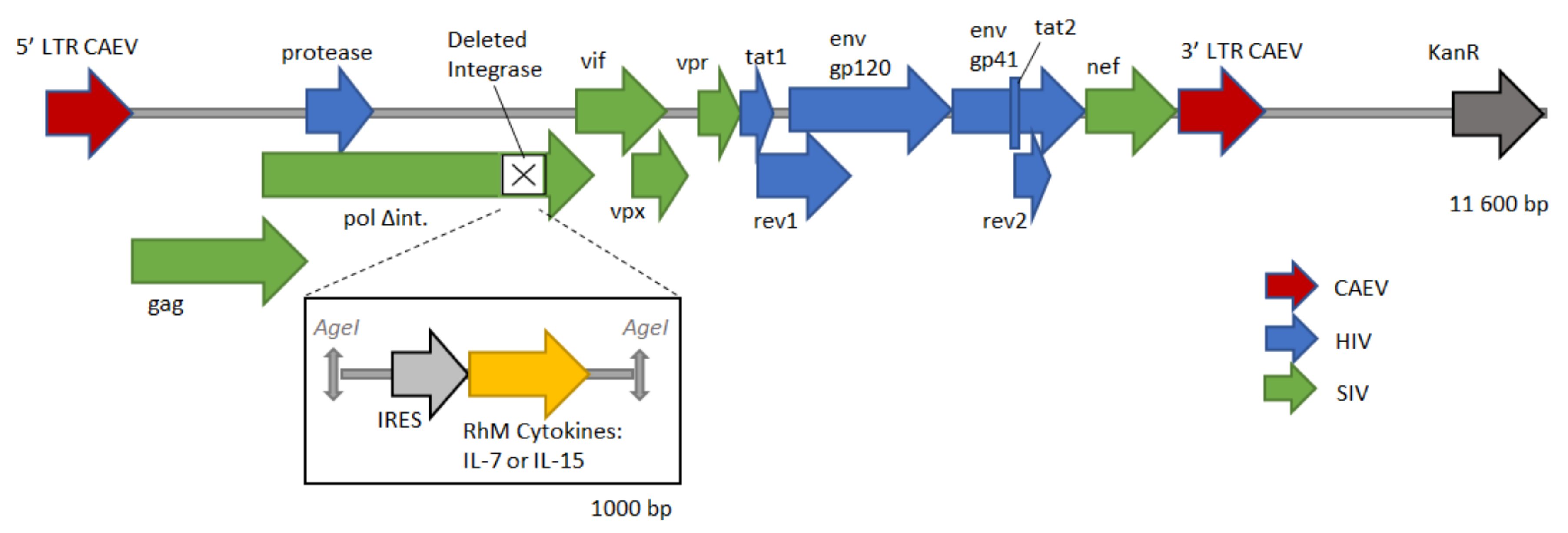 Vaccines 10 00461 g0a1