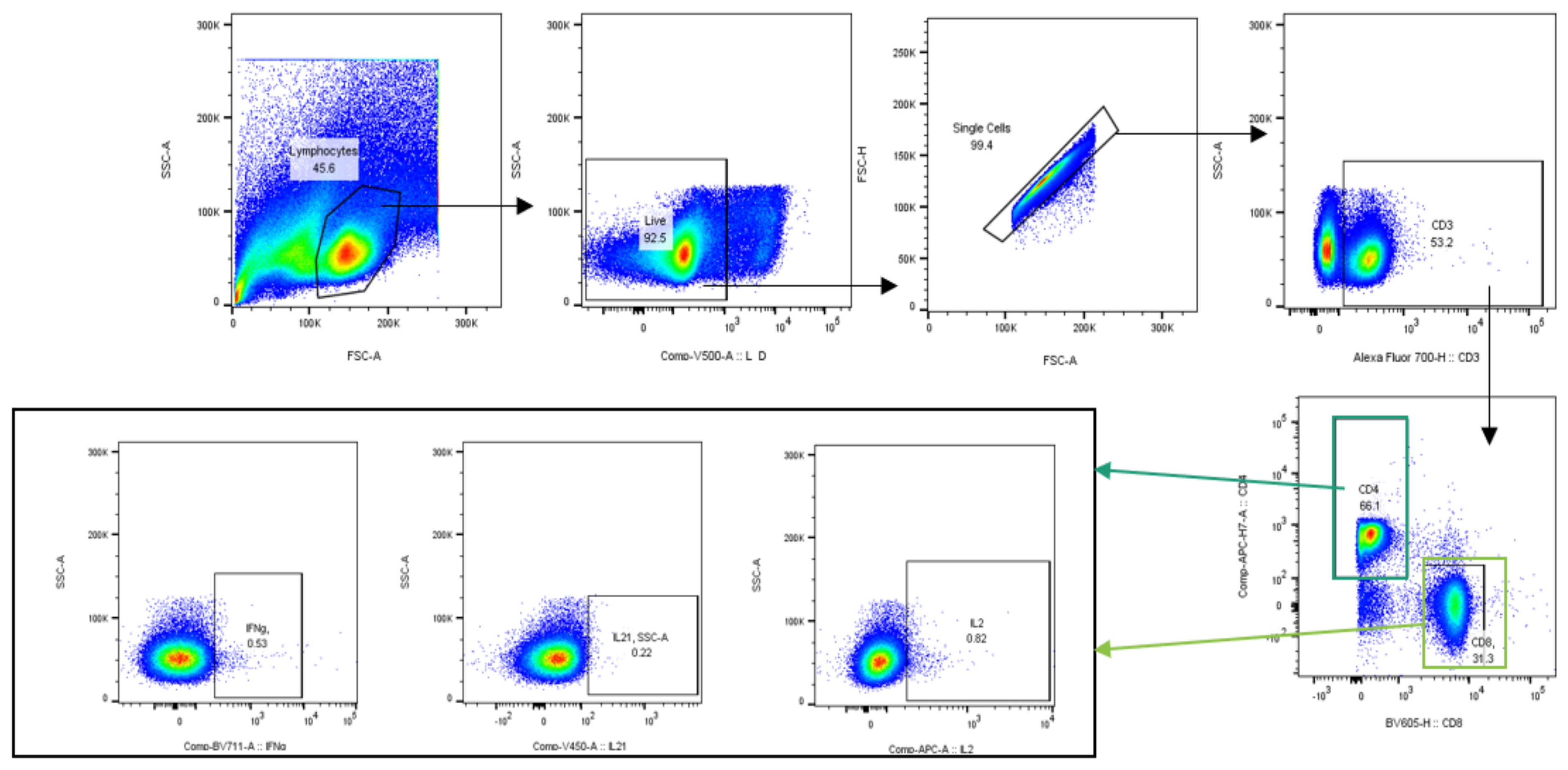 Vaccines 10 00461 g0a3