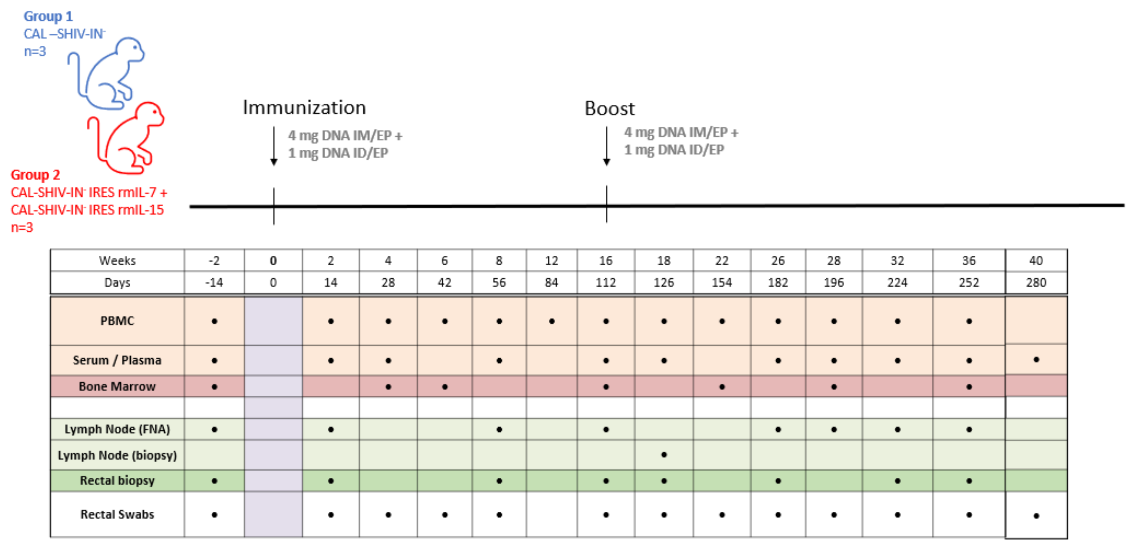 Vaccines 10 00461 g0a4