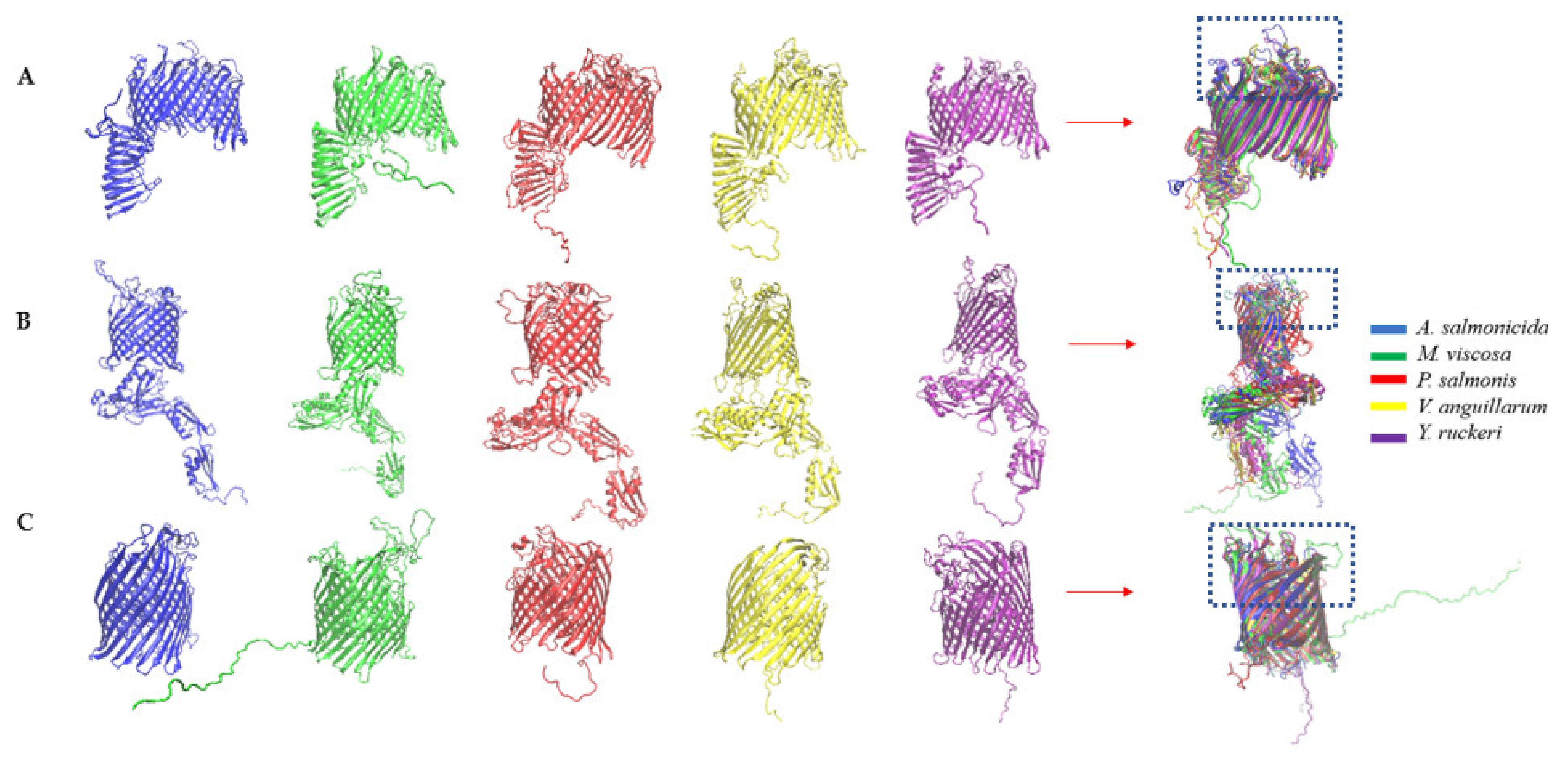 Vaccines 10 00473 g004 Vaccines 10 00473 g004