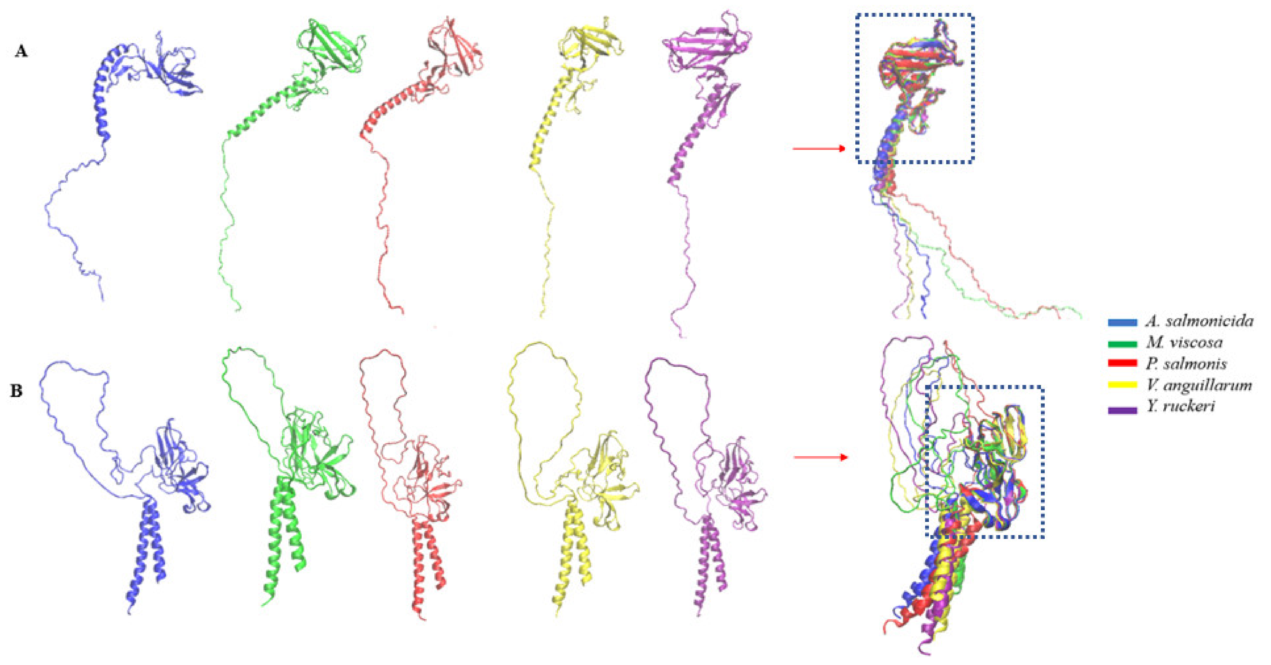 Vaccines 10 00473 g005 Vaccines 10 00473 g005