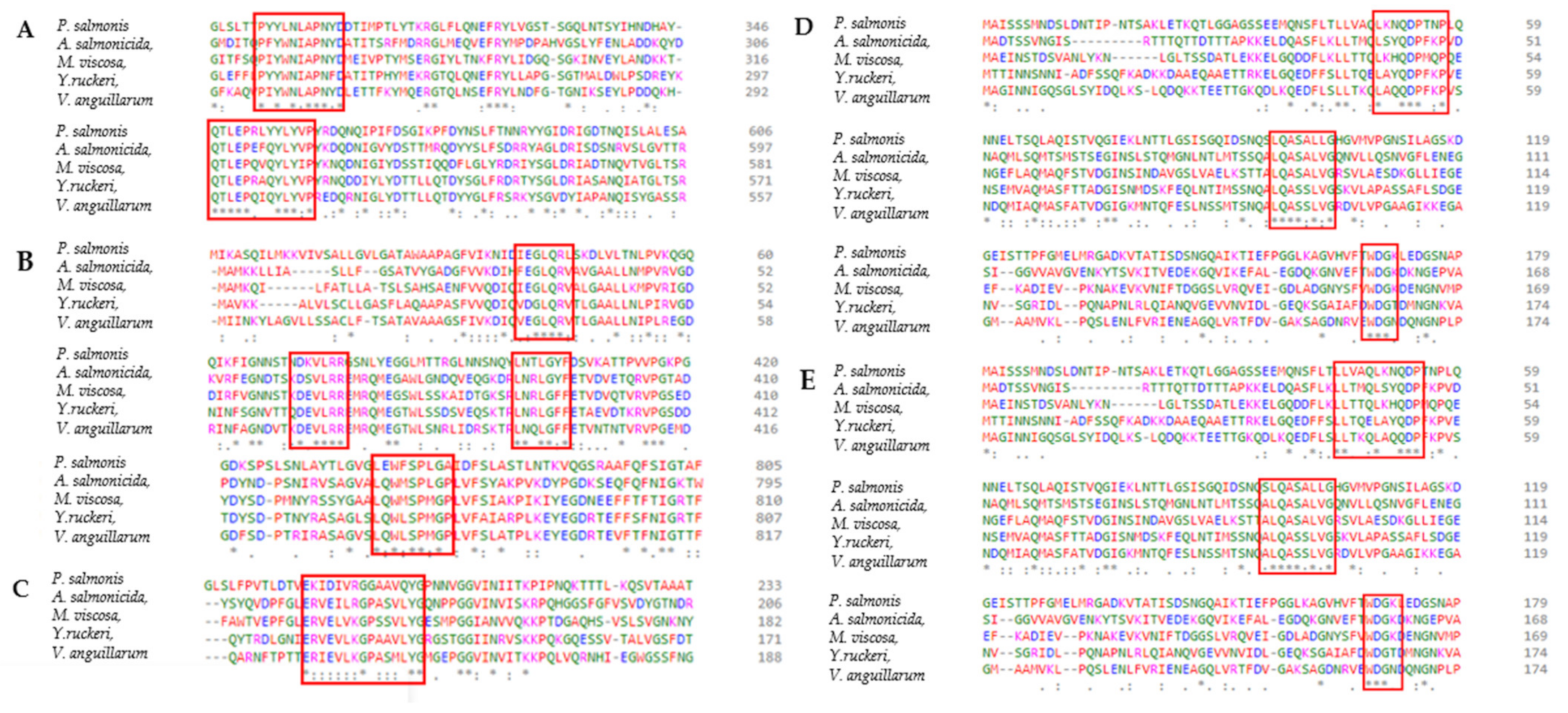 Vaccines 10 00473 g007 Vaccines 10 00473 g007