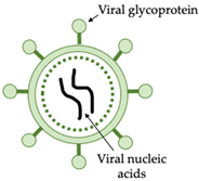 Vaccines 10 00478 i001 Vaccines 10 00478 i001