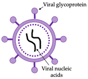 Vaccines 10 00478 i002 Vaccines 10 00478 i002