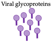 Vaccines 10 00478 i003 Vaccines 10 00478 i003