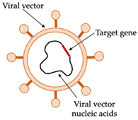 Vaccines 10 00478 i004 Vaccines 10 00478 i004