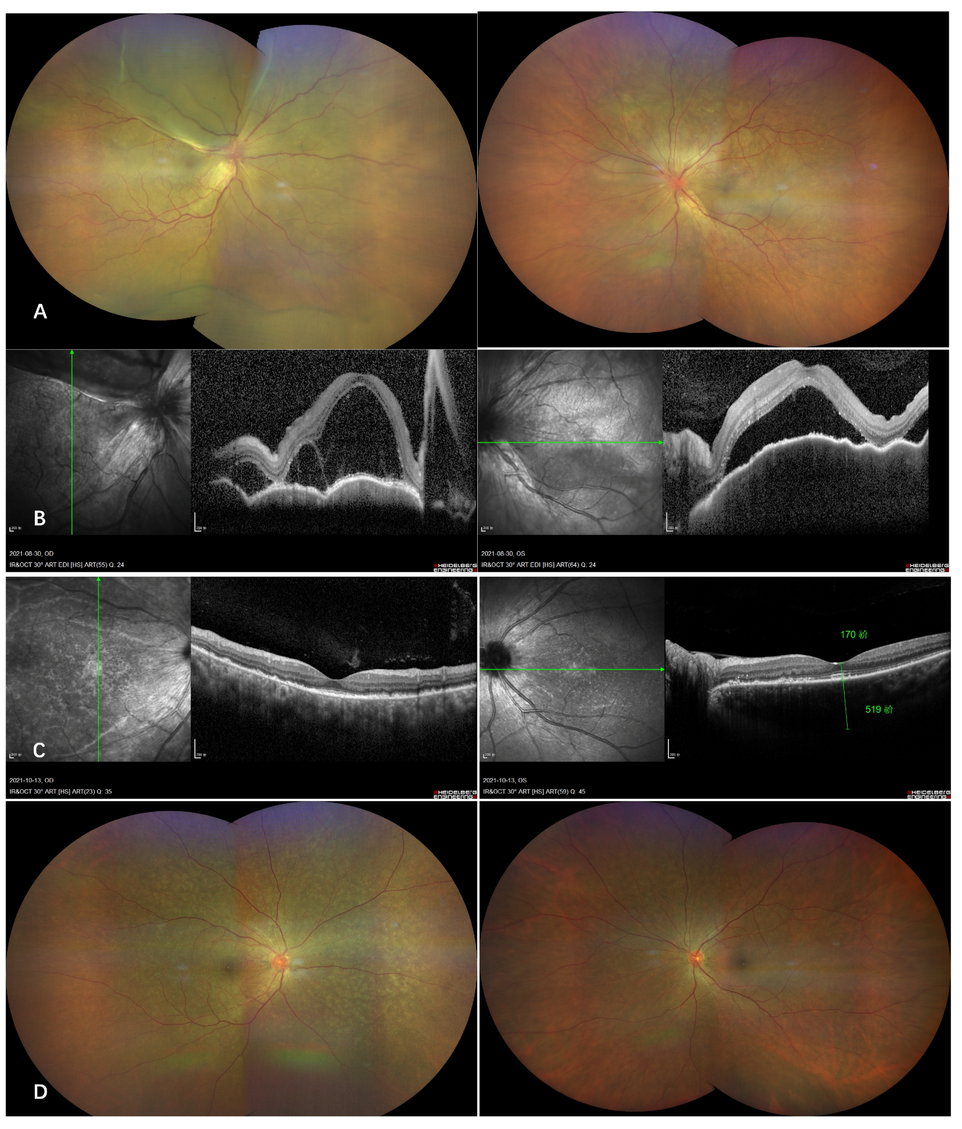 Vaccines 10 00482 g002 550