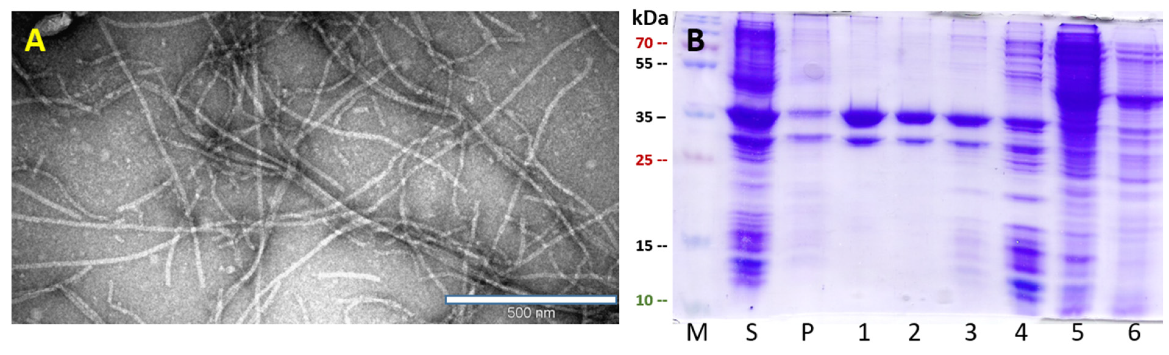 Vaccines 10 00485 g003