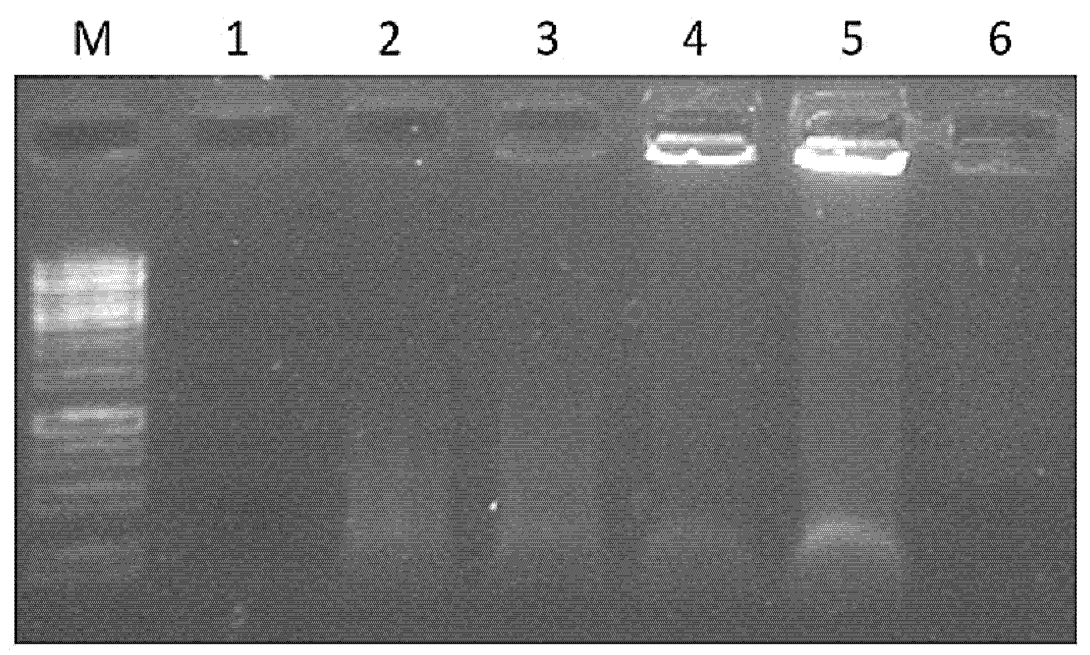 Vaccines 10 00485 g004