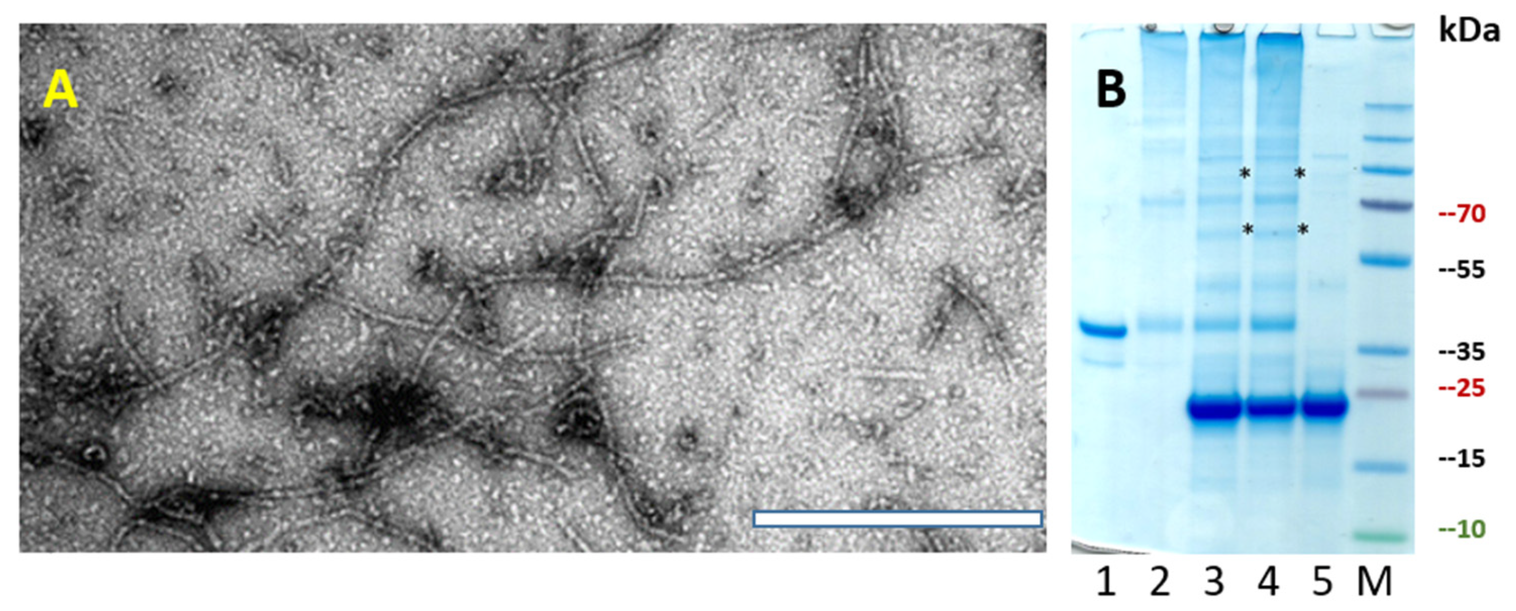 Vaccines 10 00485 g005