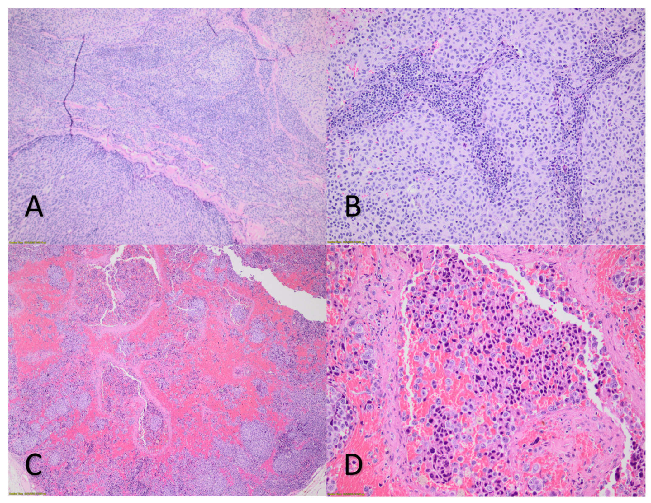 Vaccines 10 00525 g001 550