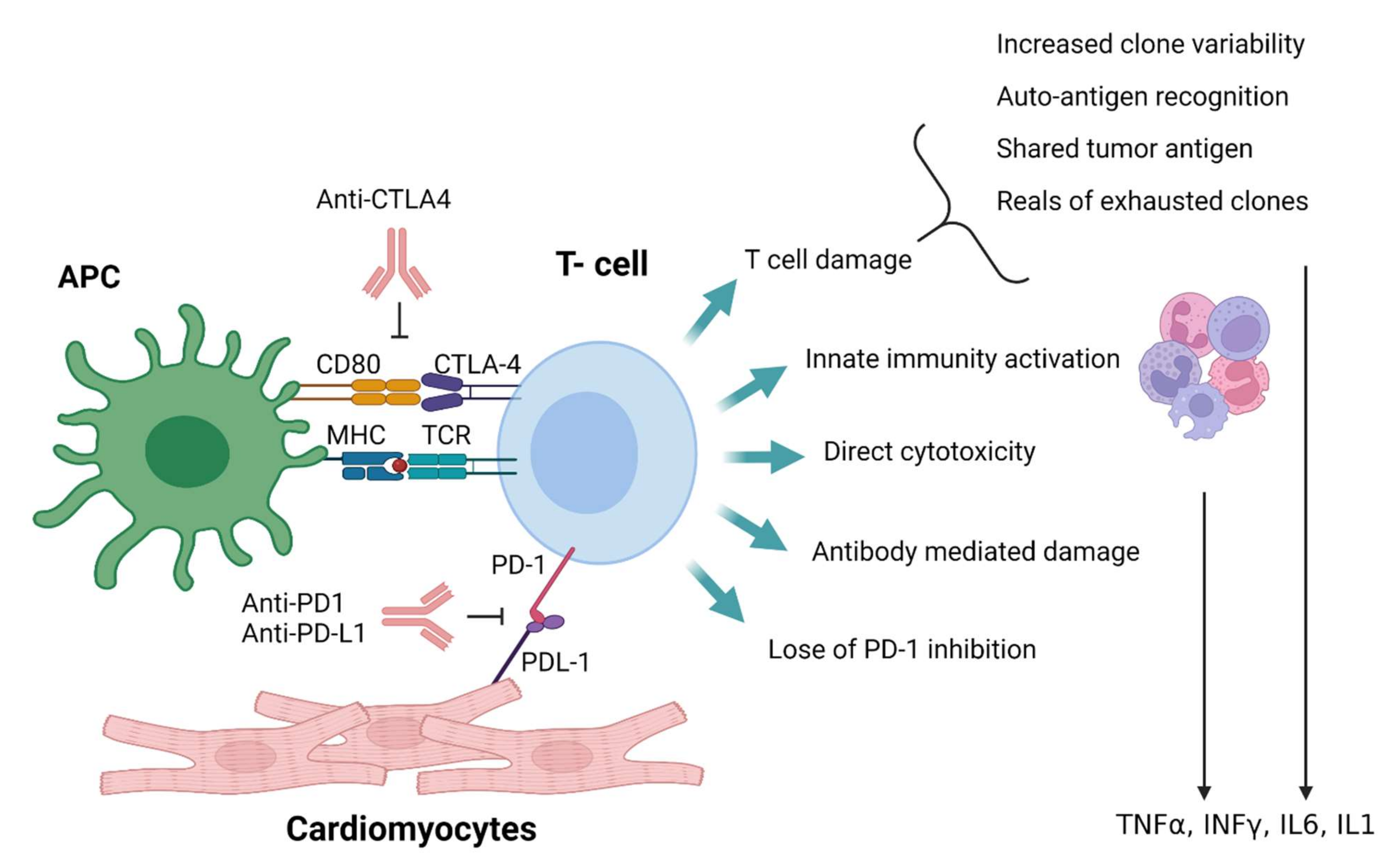 Vaccines 10 00540 g003