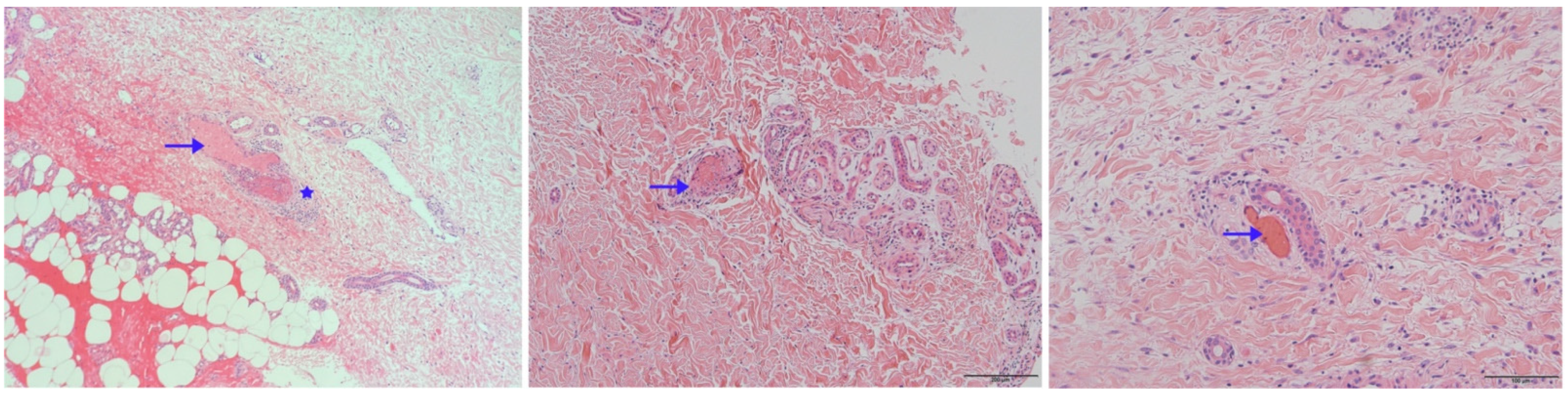 Vaccines 10 00549 g004 550