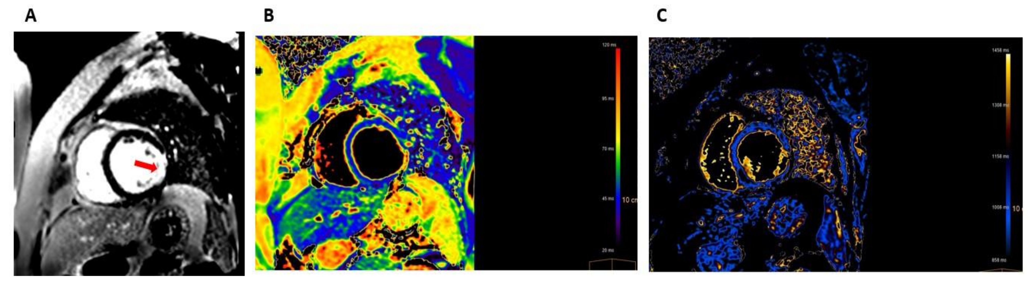 Vaccines 10 00575 g002