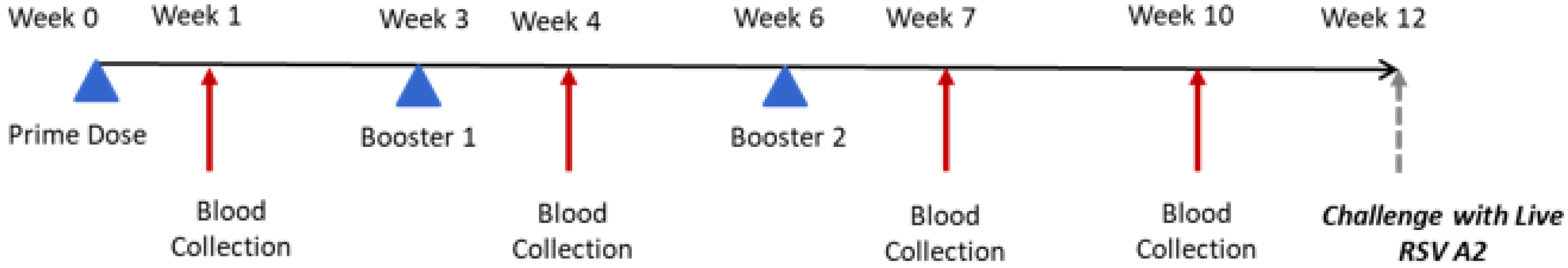 Vaccines 10 00584 g001 550