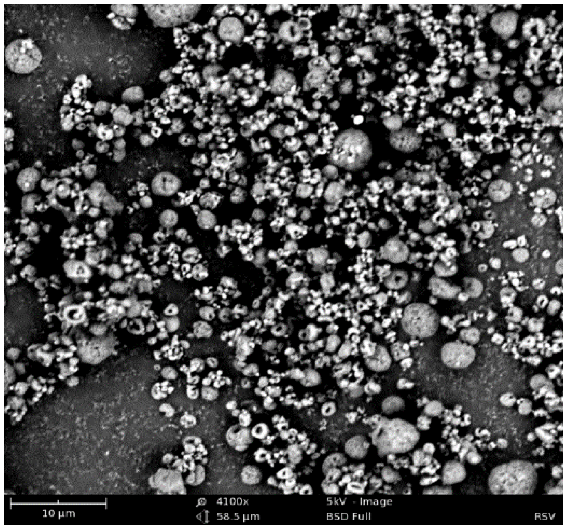 Vaccines 10 00584 g002 550