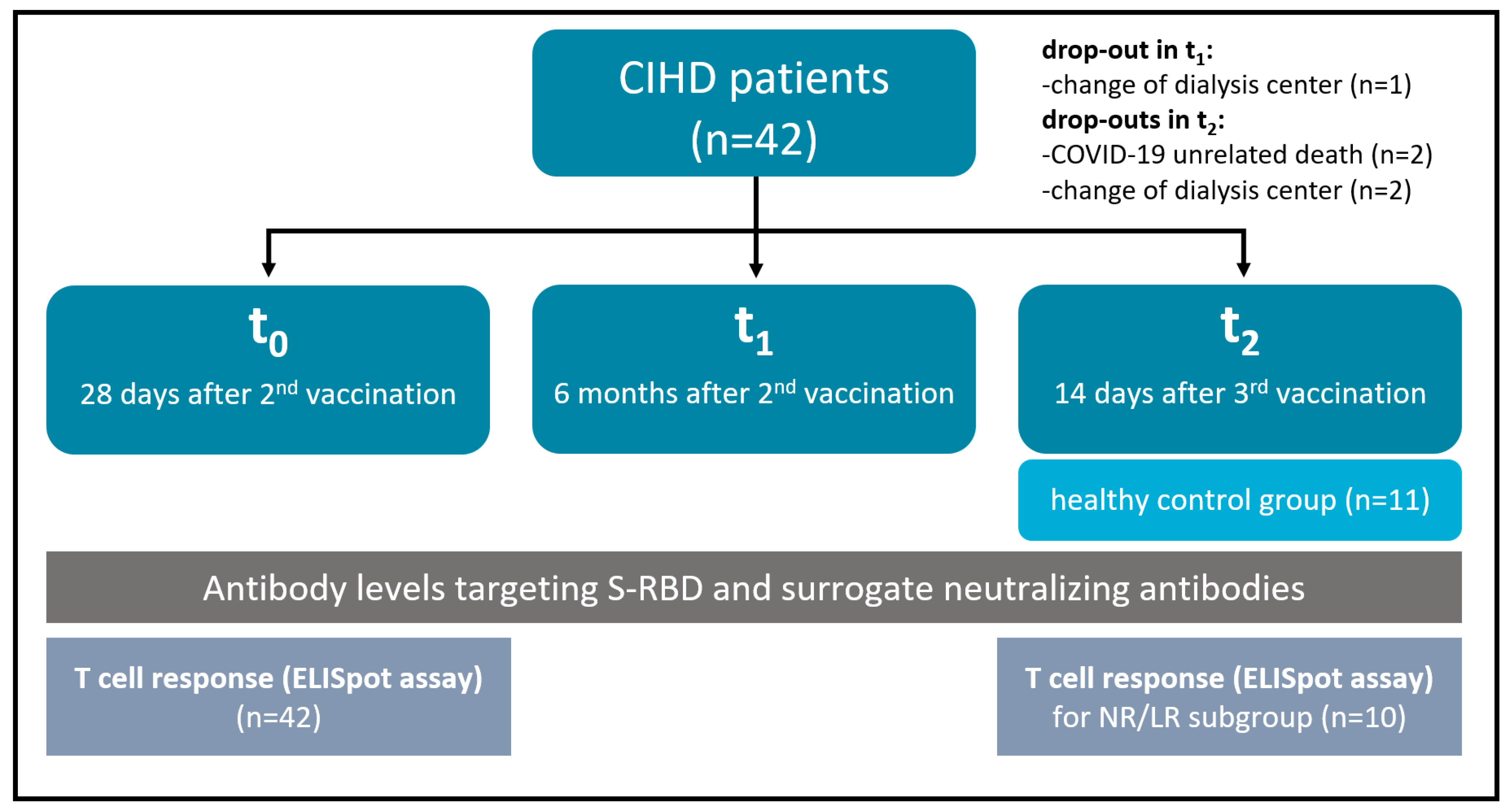 Vaccines 10 00585 g001 550