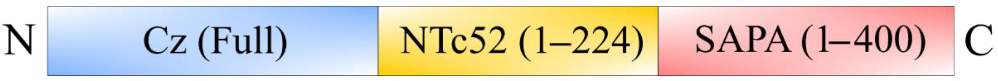 Vaccines 10 00587 g002 Vaccines 10 00587 g002