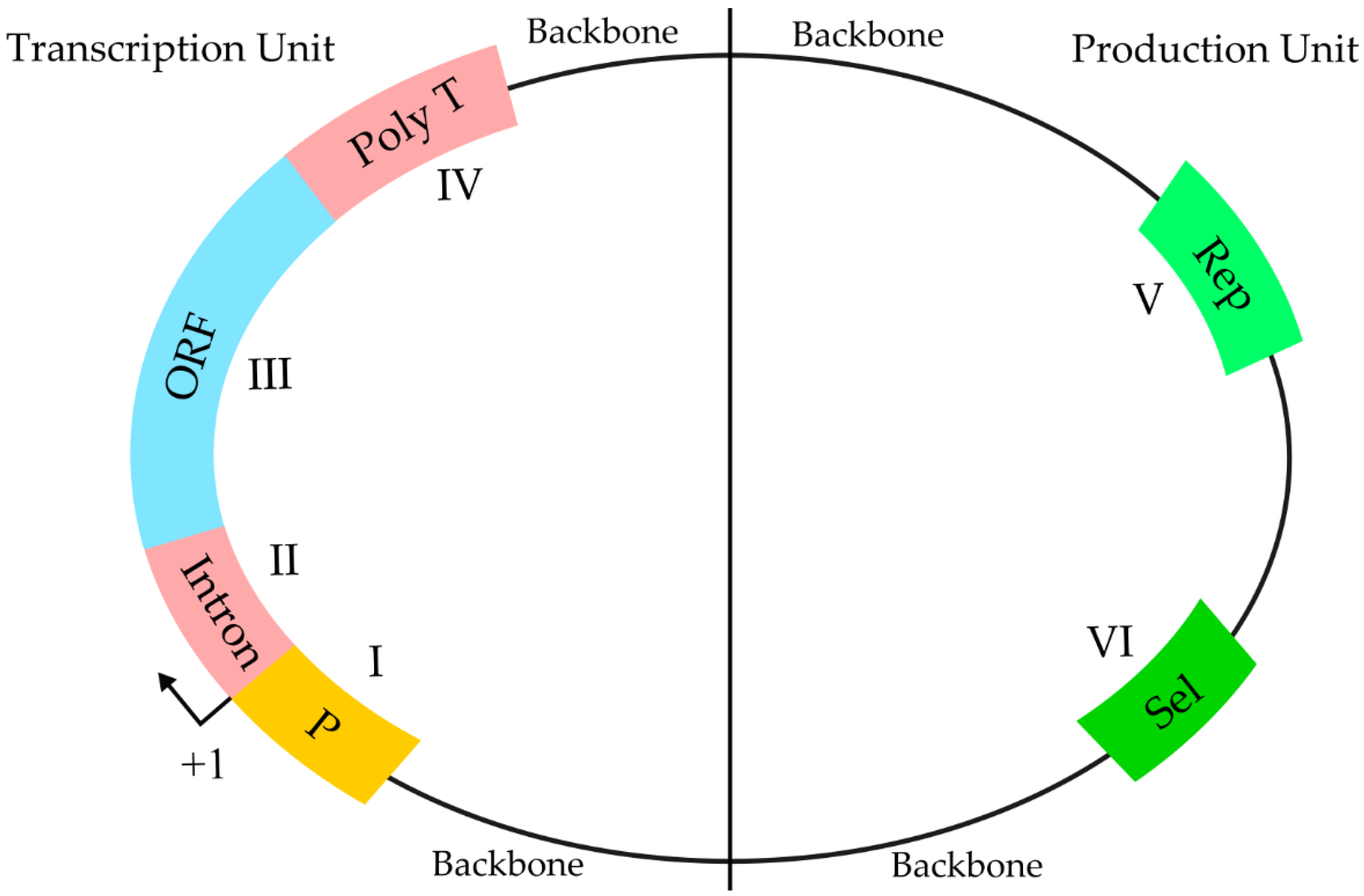 Vaccines 10 00587 g004 Vaccines 10 00587 g004