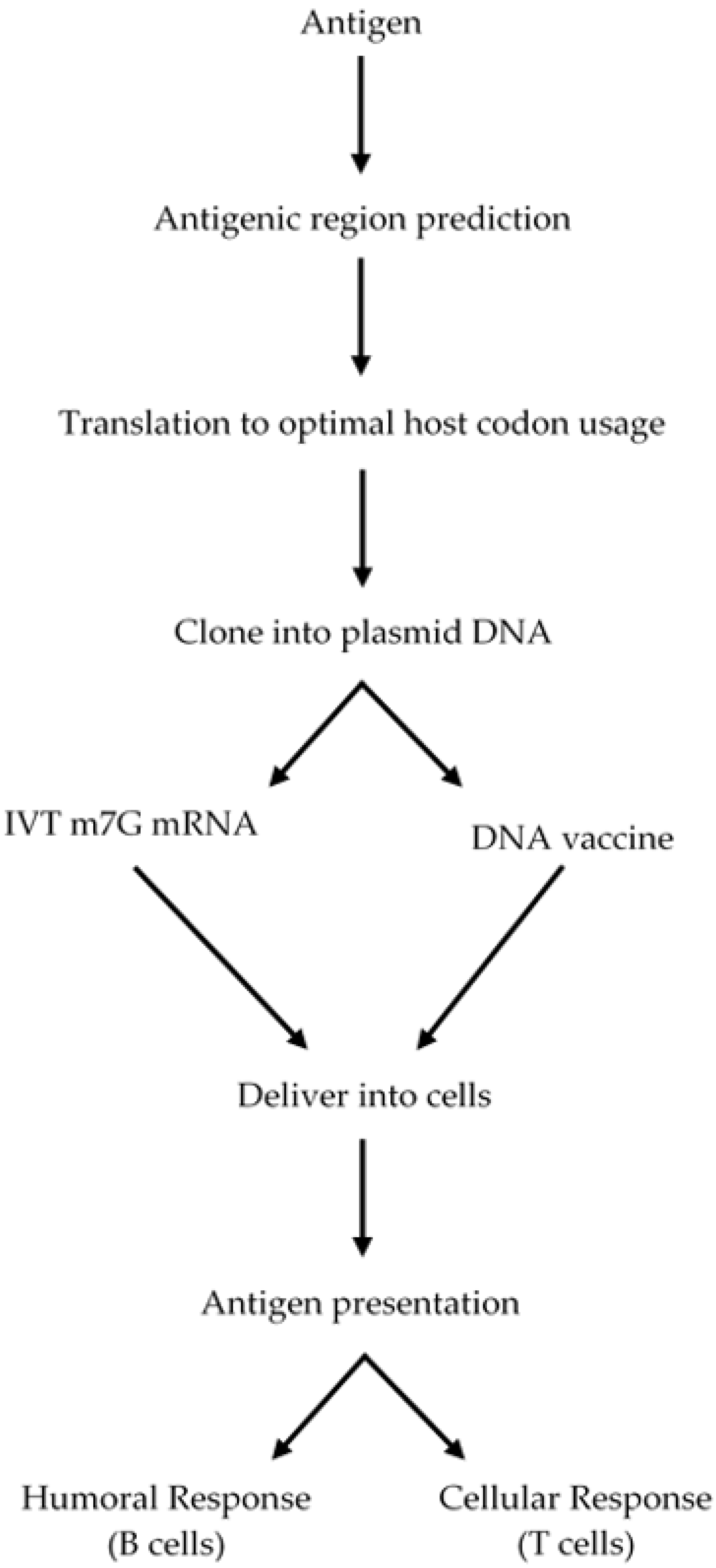 Vaccines 10 00587 g007 Vaccines 10 00587 g007