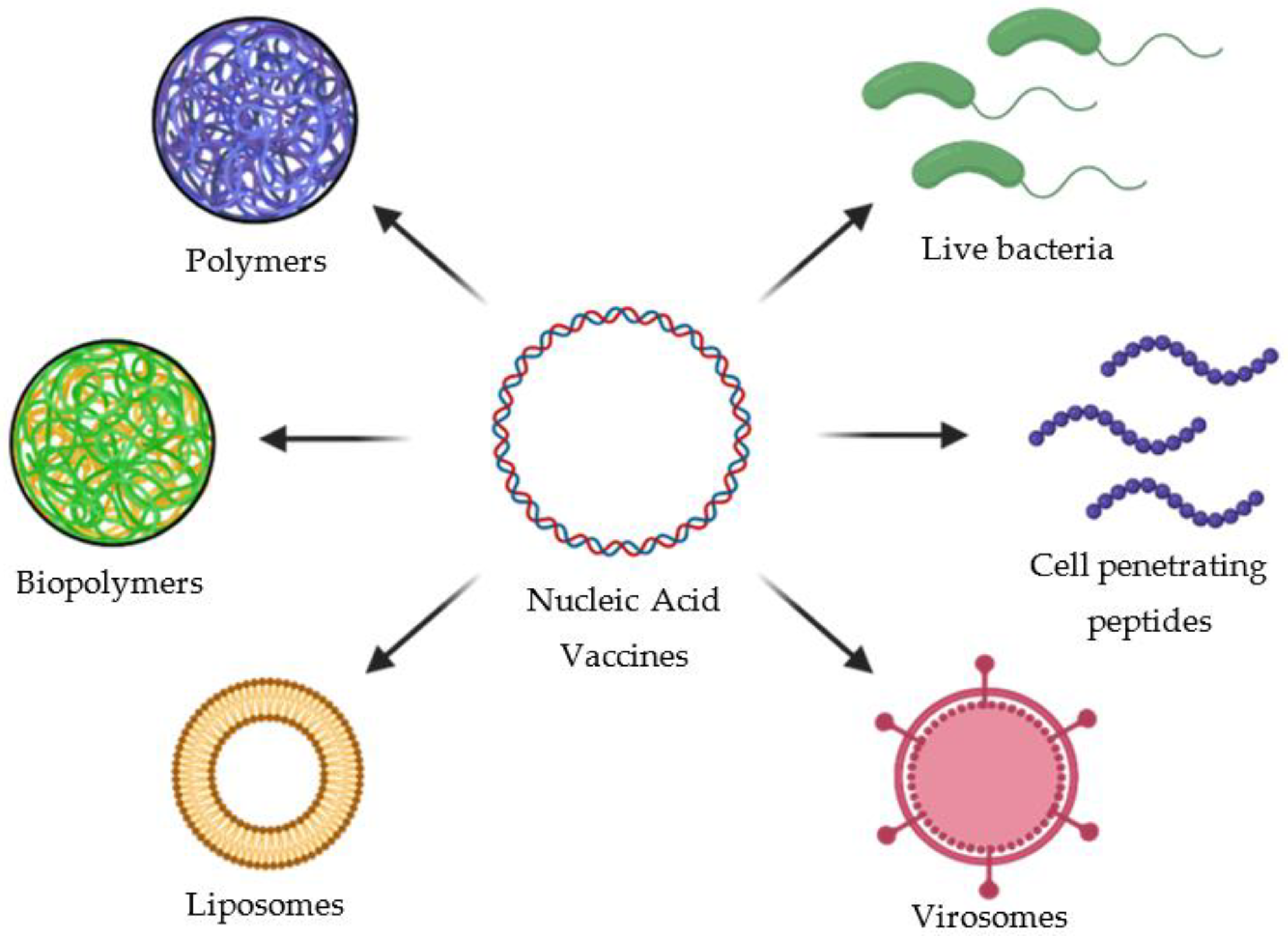 Vaccines 10 00587 g008 Vaccines 10 00587 g008
