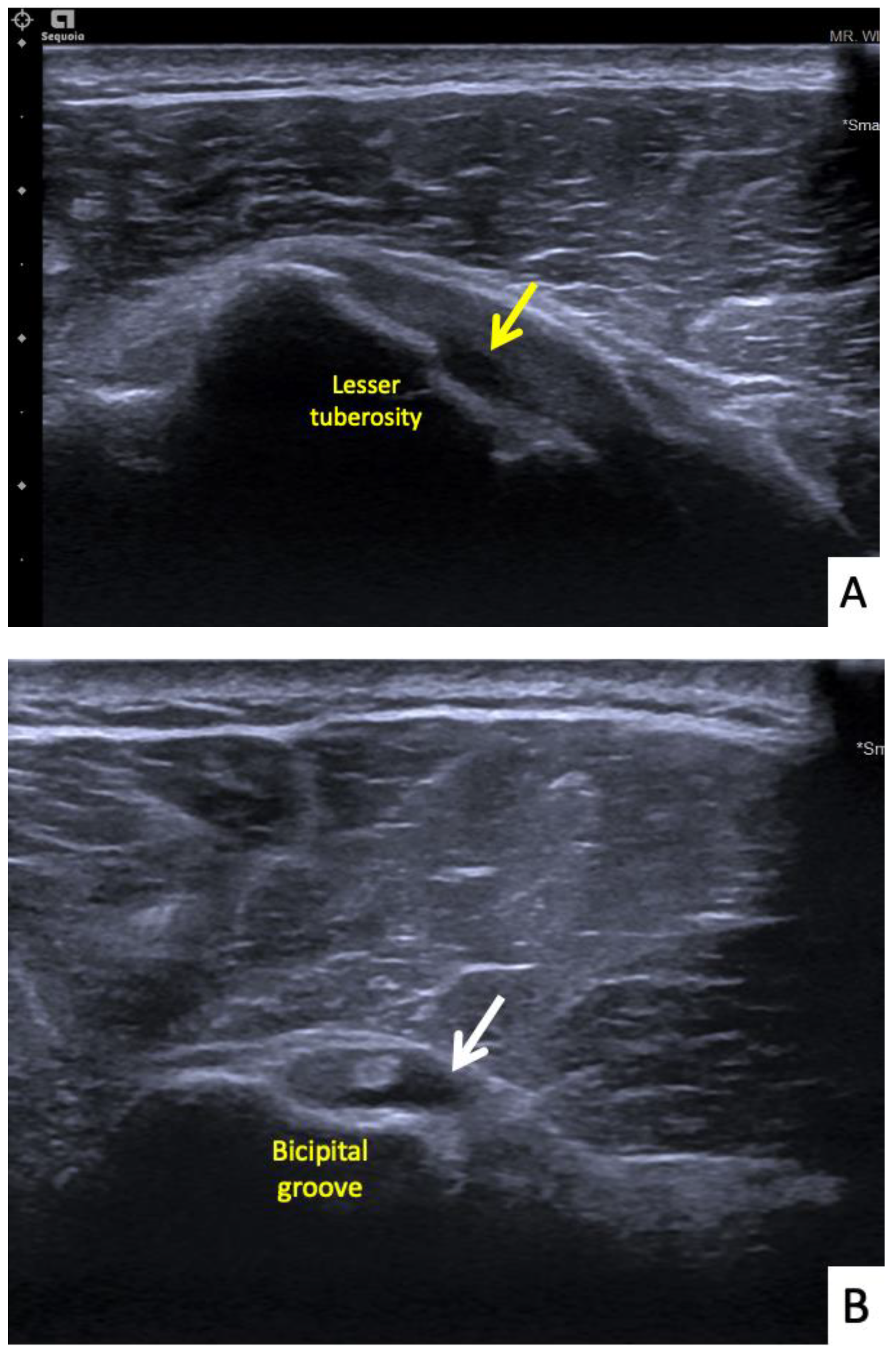 Vaccines 10 00588 g007 550