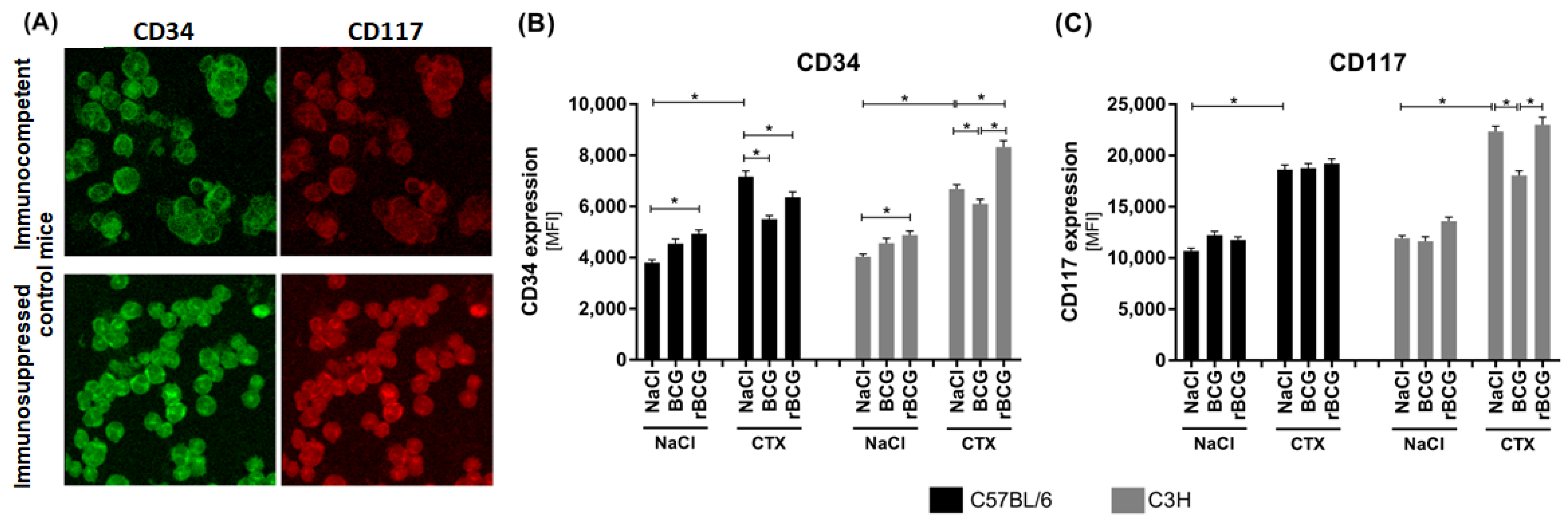 Vaccines 10 00615 g002 Vaccines 10 00615 g002