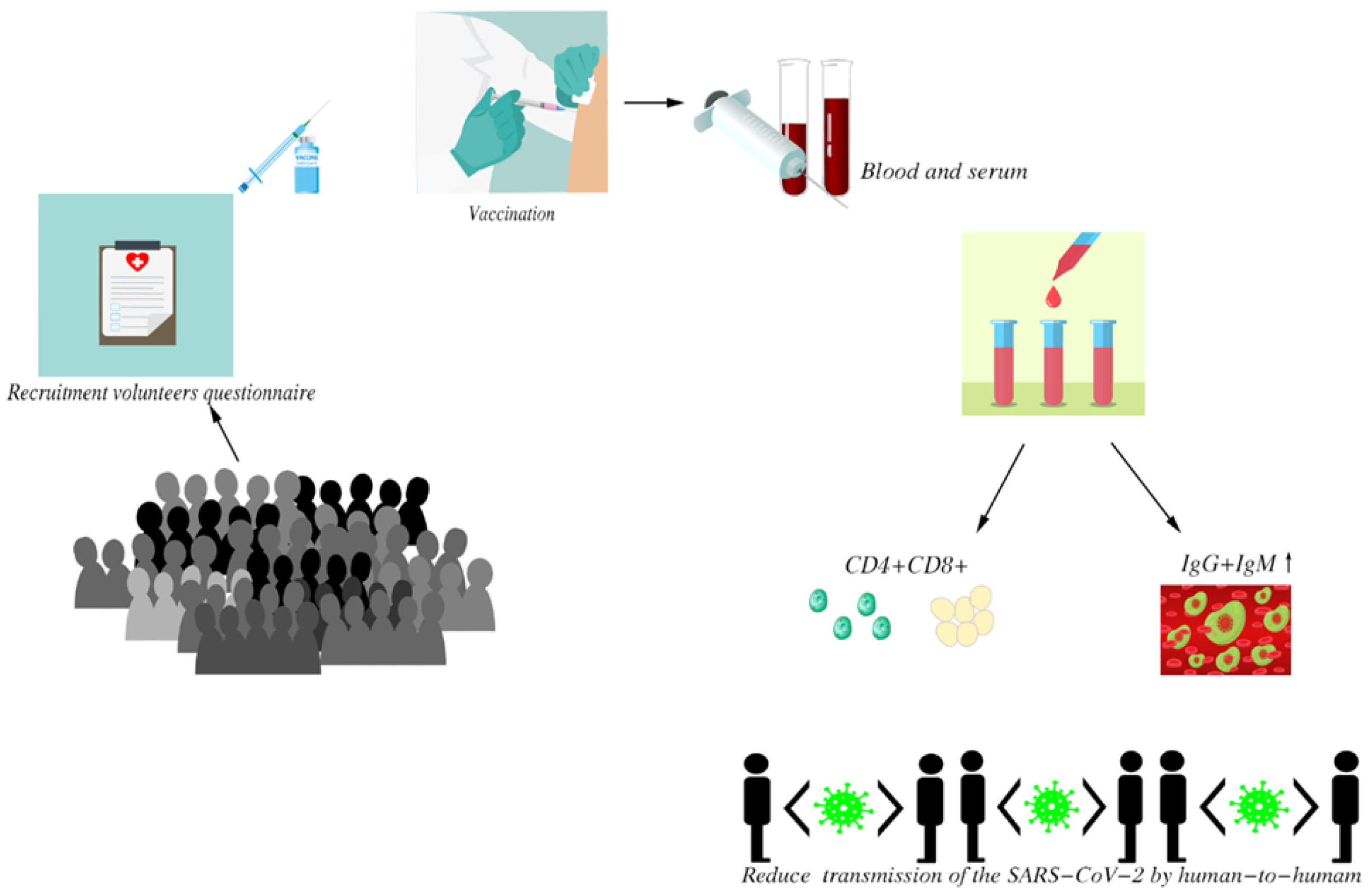 Vaccines 10 00647 g001 550