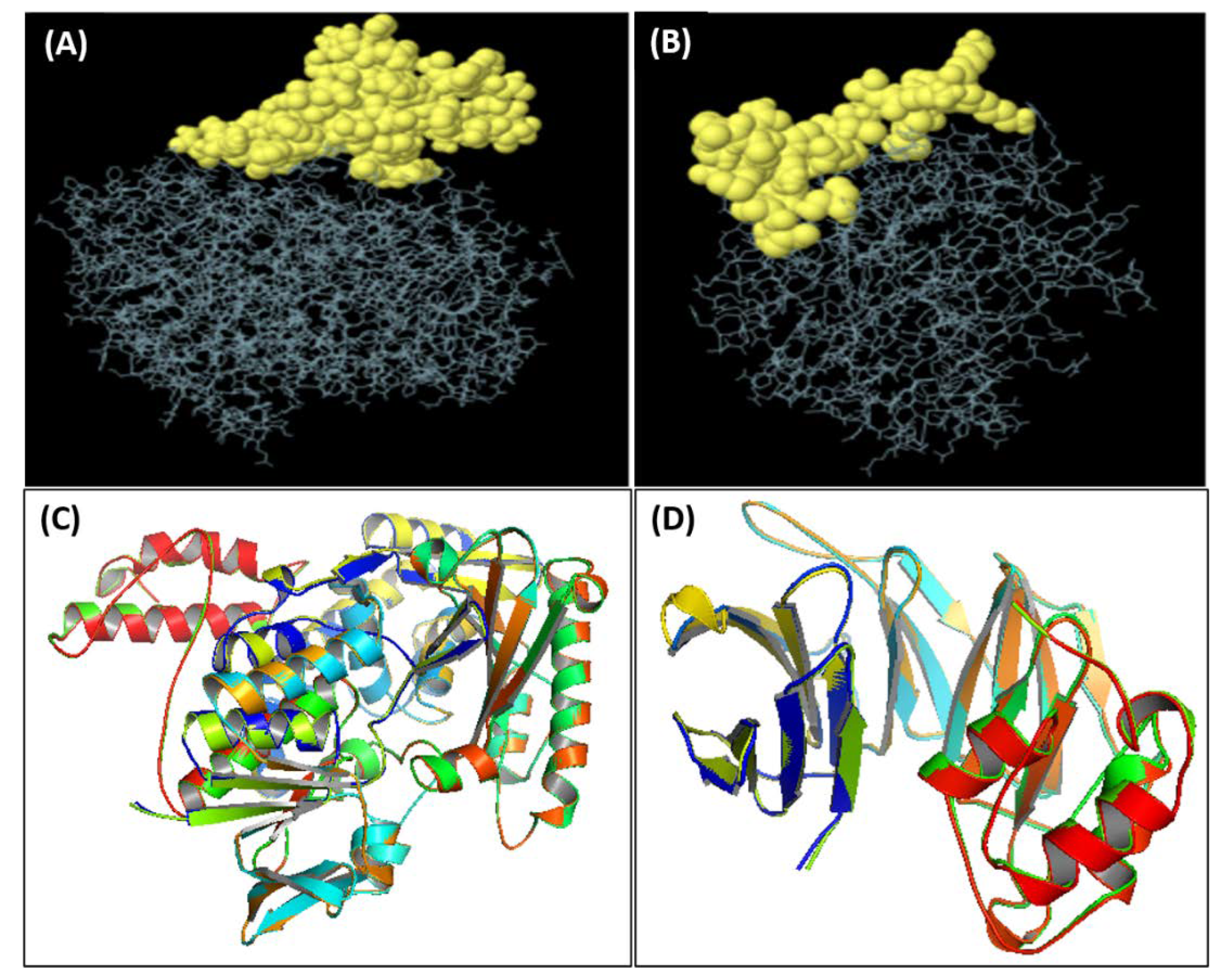 Vaccines 10 00664 g002
