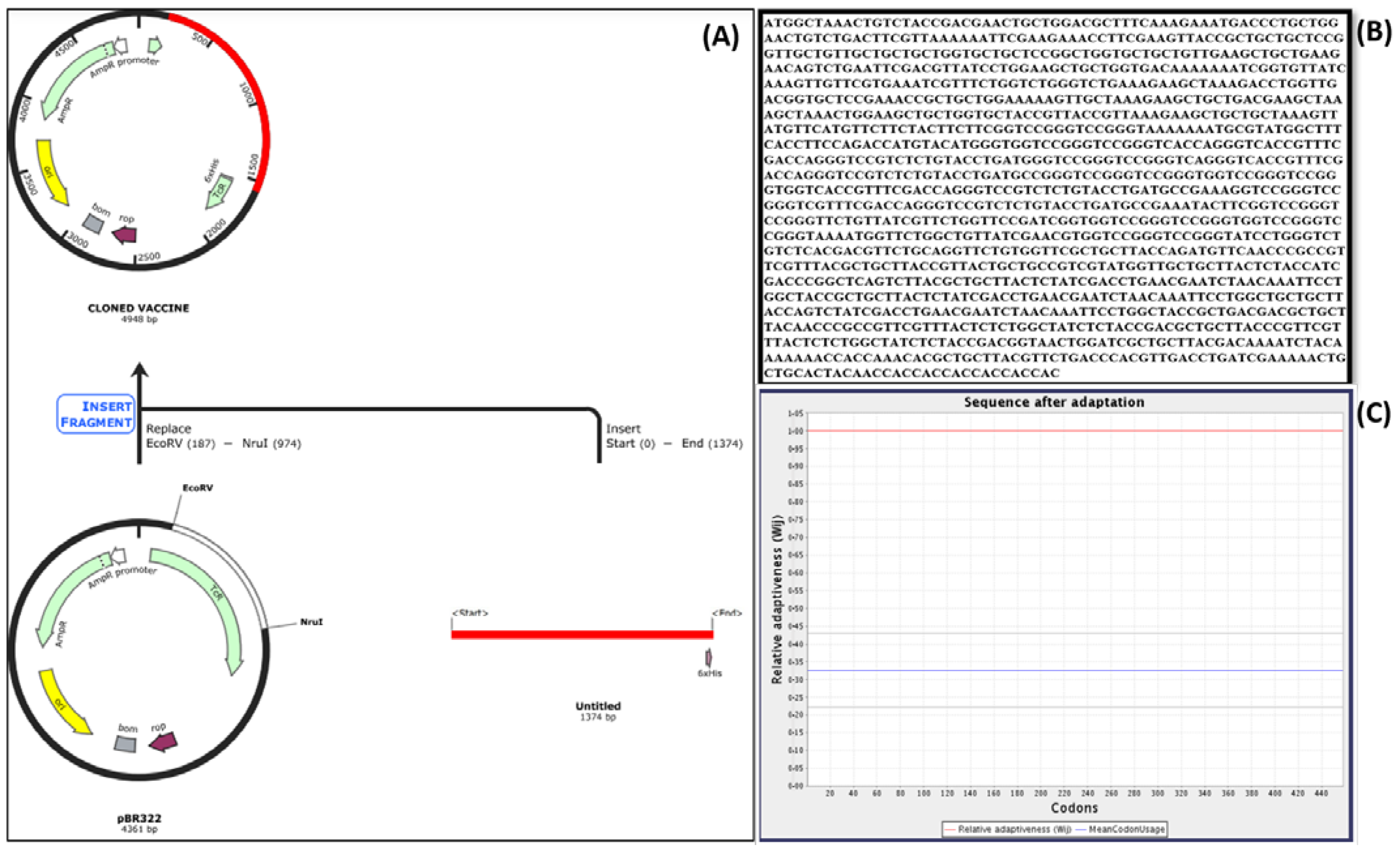 Vaccines 10 00664 g009