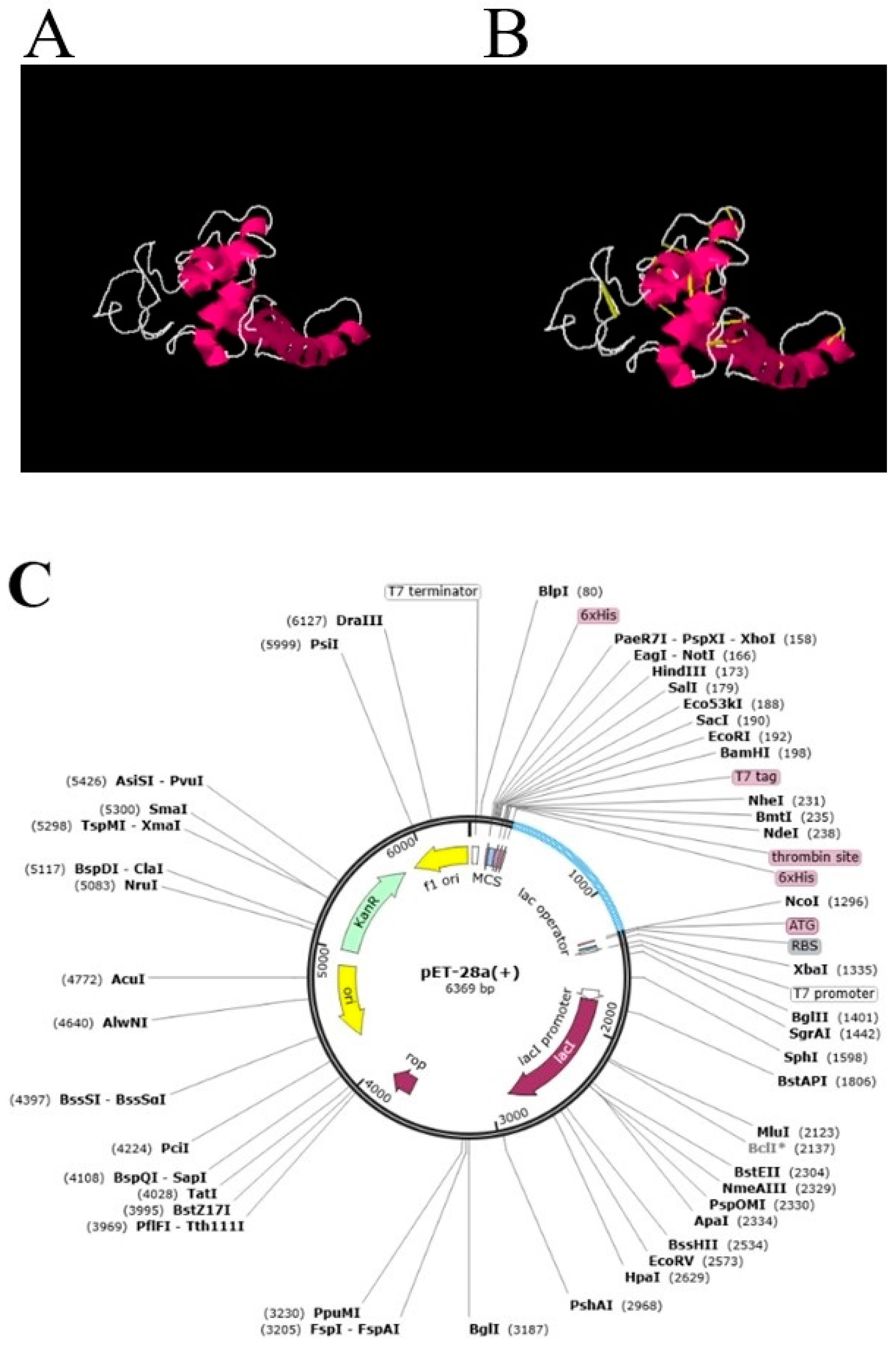Vaccines 10 00665 g006 Vaccines 10 00665 g006